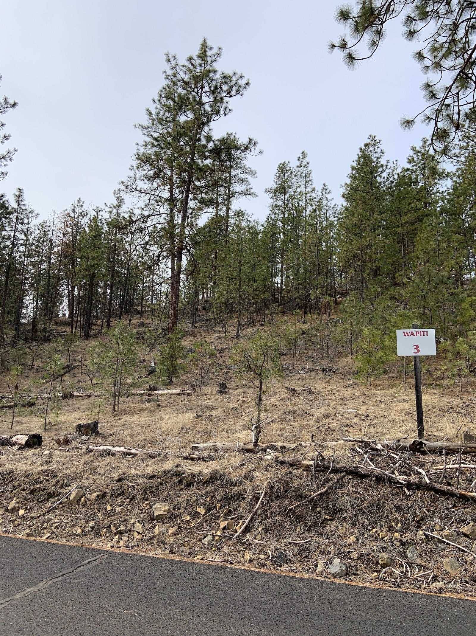 Davenport, WA 99122,Wapiti 3 Bob White Ln