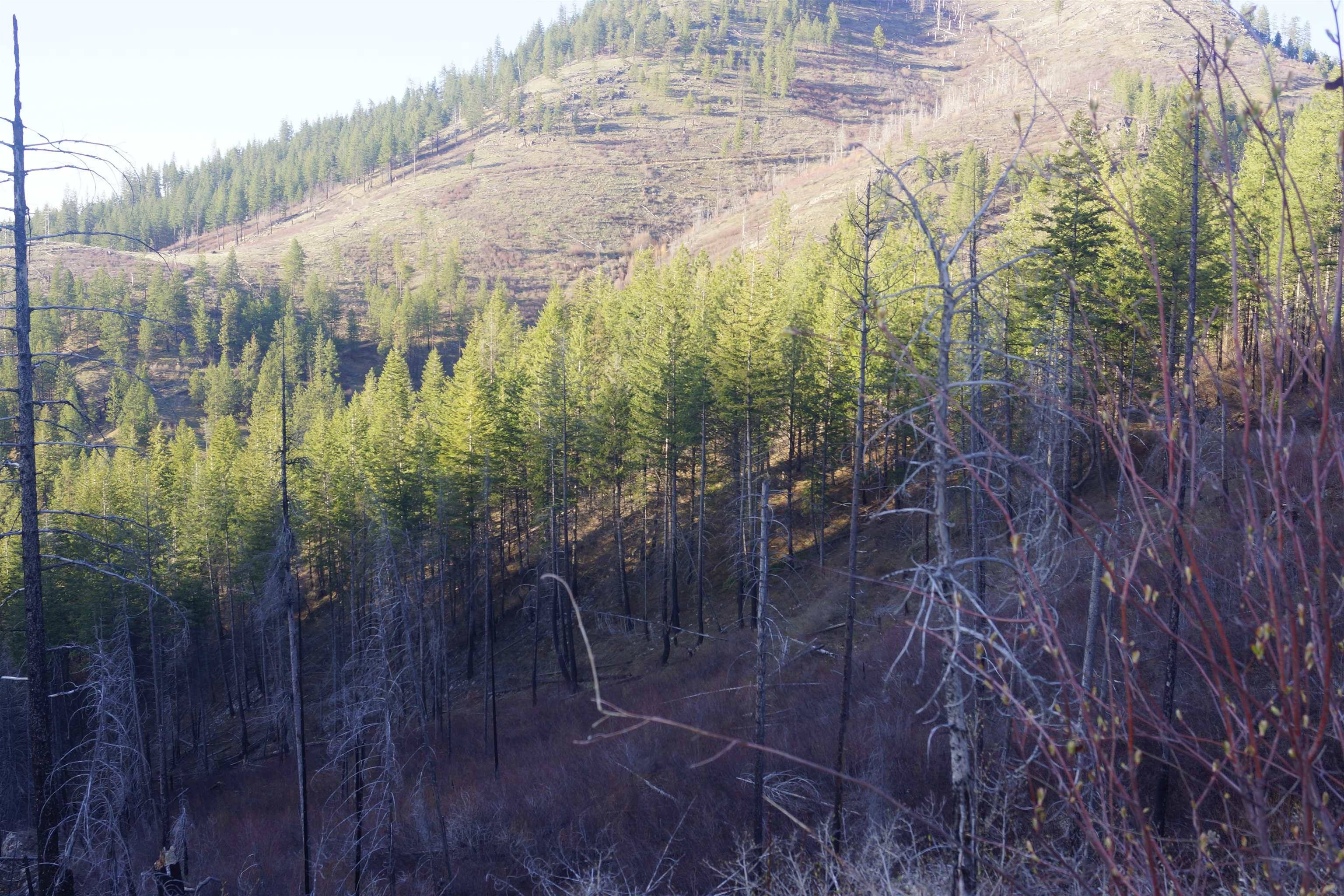 Fruitland, WA 99129,NKA Coyote Canyon Rd