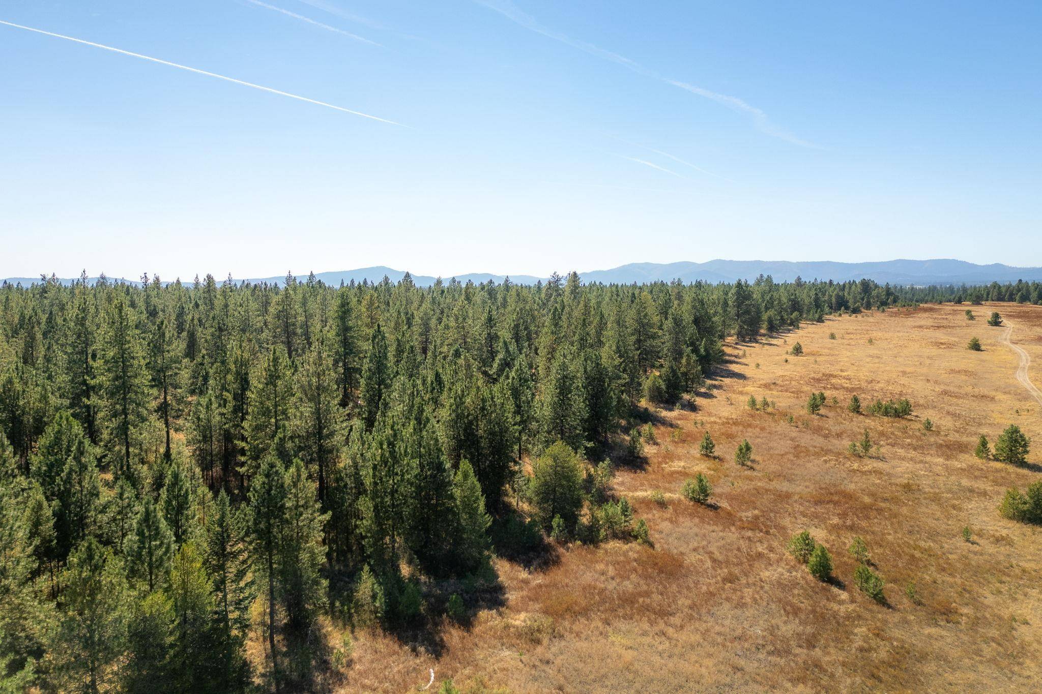 Deer Park, WA 99006,NKA E Slaton Rd #Lot 40
