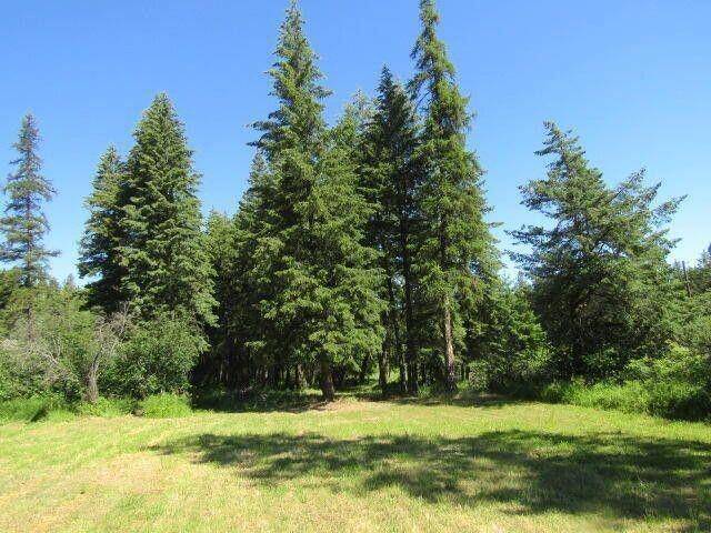 Kettle Falls, WA 99141,XX Crane Rd