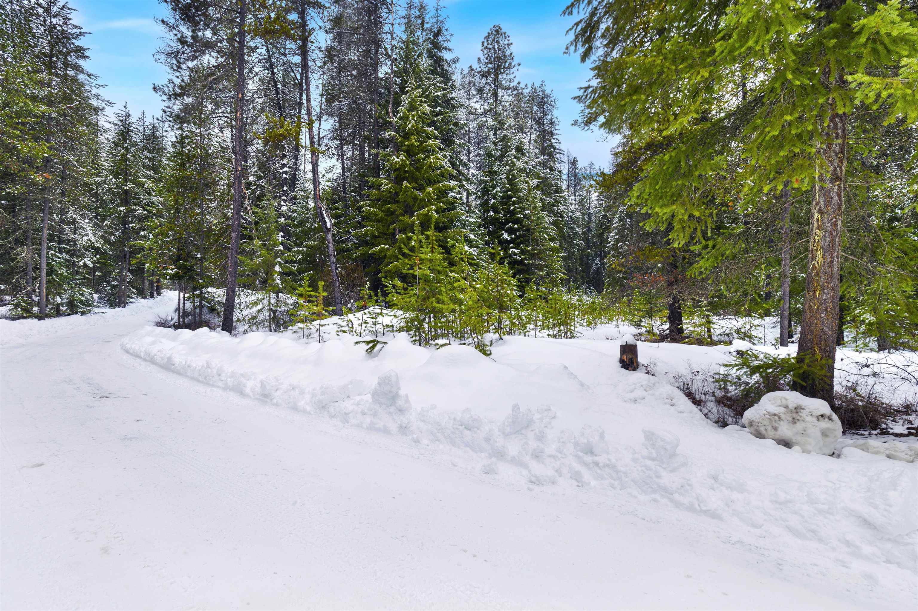 Newport, WA 99156-8324,576 Buck Creek Rd