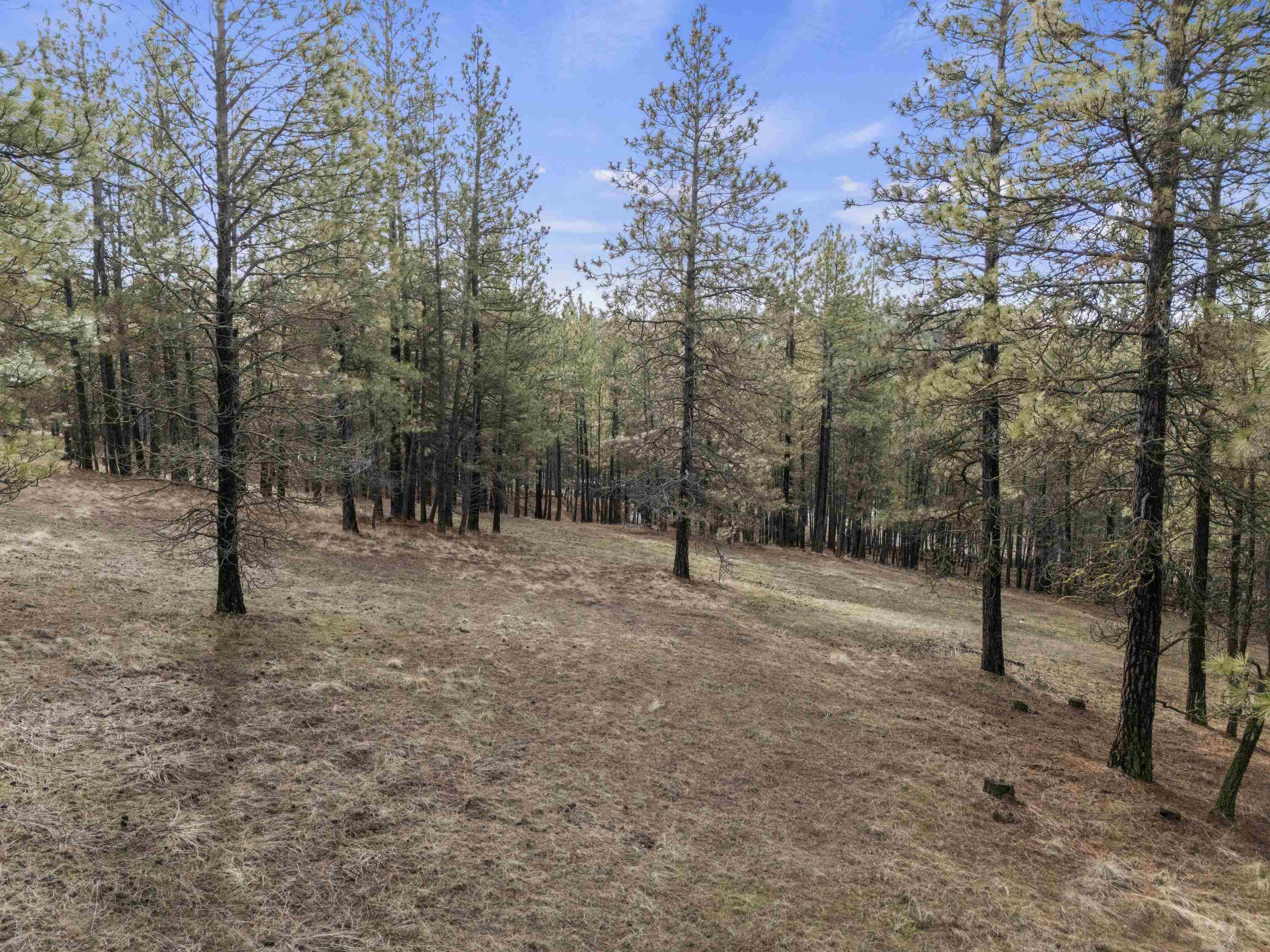 Valleyford, WA 99036,NNA S Serenity Ln