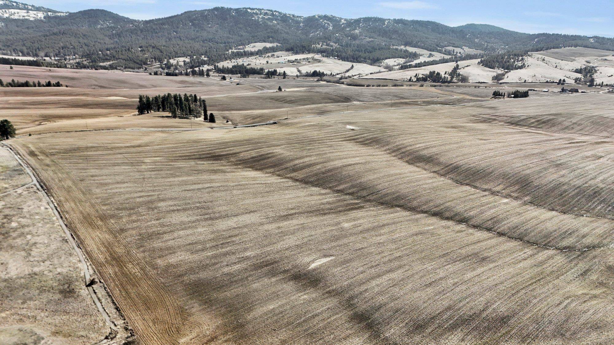Mica, WA 99023,S 8006 Jackson Rd