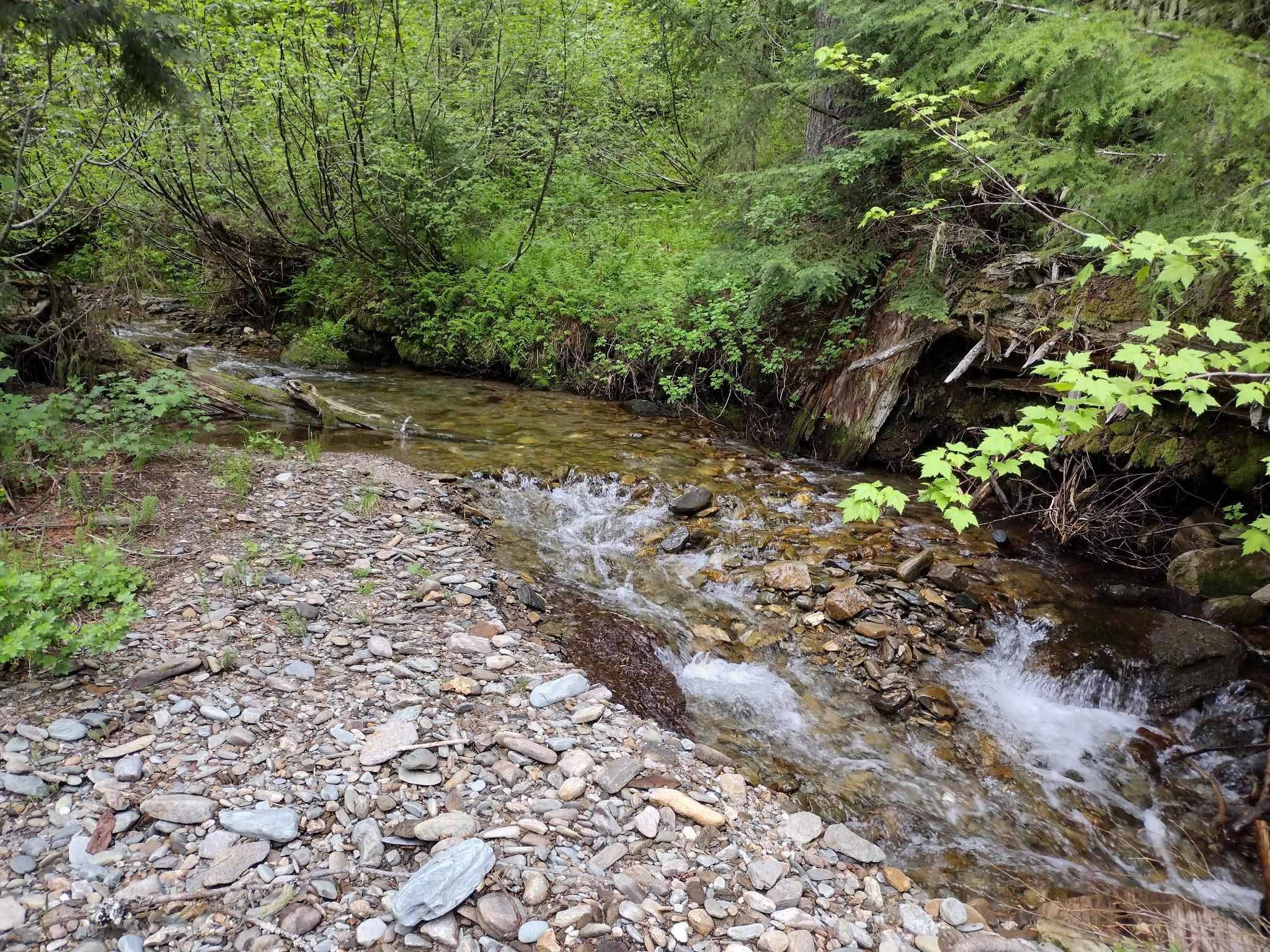 Ione, WA 99139,7149 Cedar Creek Rd