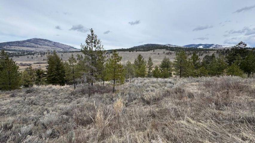 Other, WA 98855,132 Aeneas Valley Rd