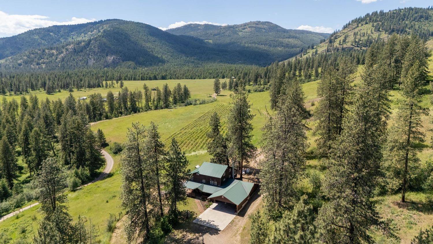 Kettle Falls, WA 99141,3439 B Northport Flat Creek Rd