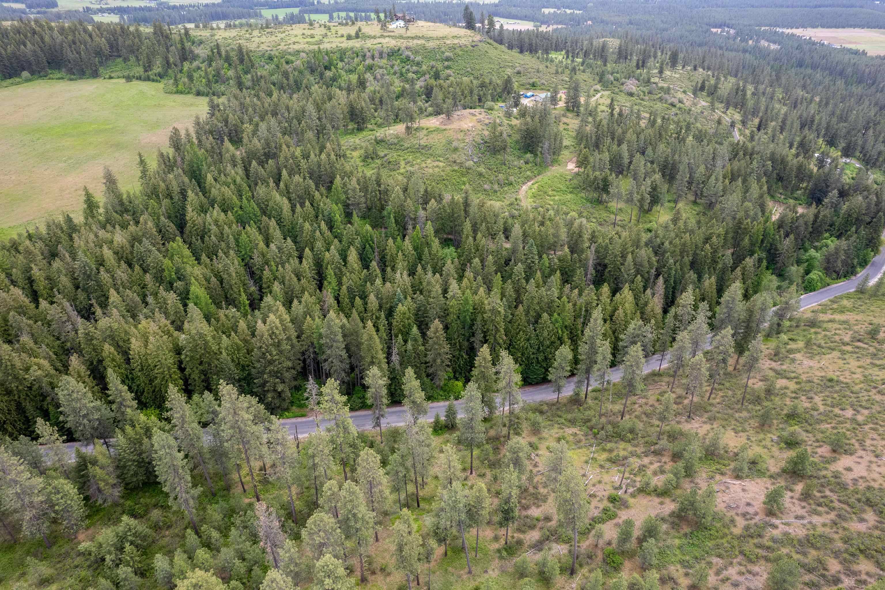 Chattaroy, WA 99003,XXX N Schwachtgen Rd