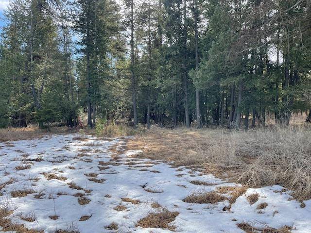 Deer Park, WA 99003,XXX W STALEY RD Rd