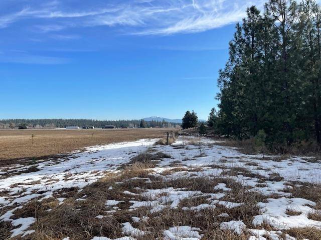 Deer Park, WA 99003,XXX W STALEY RD Rd