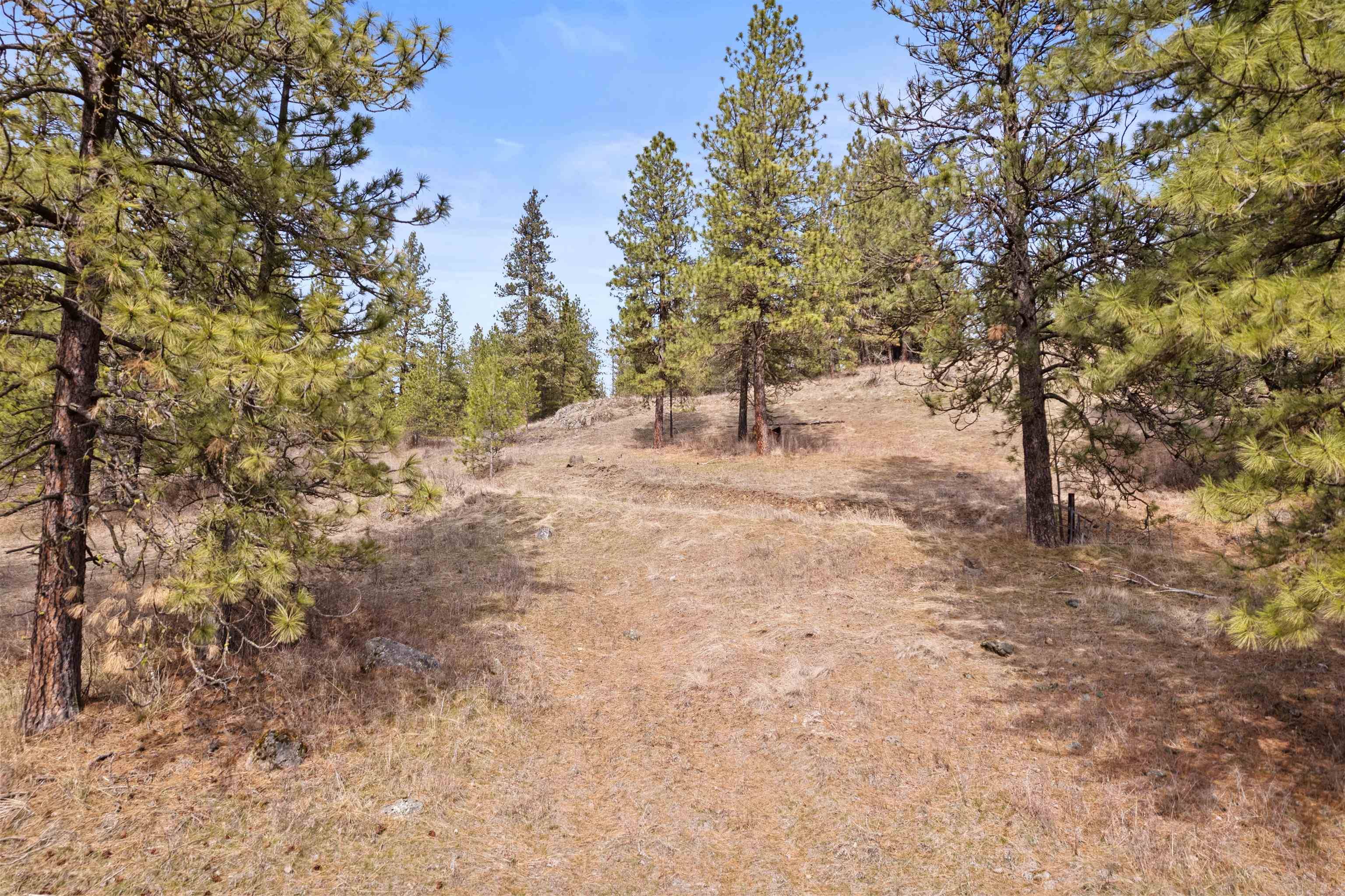 Chewelah, WA 99109,1763 M S Highway 395 Hwy