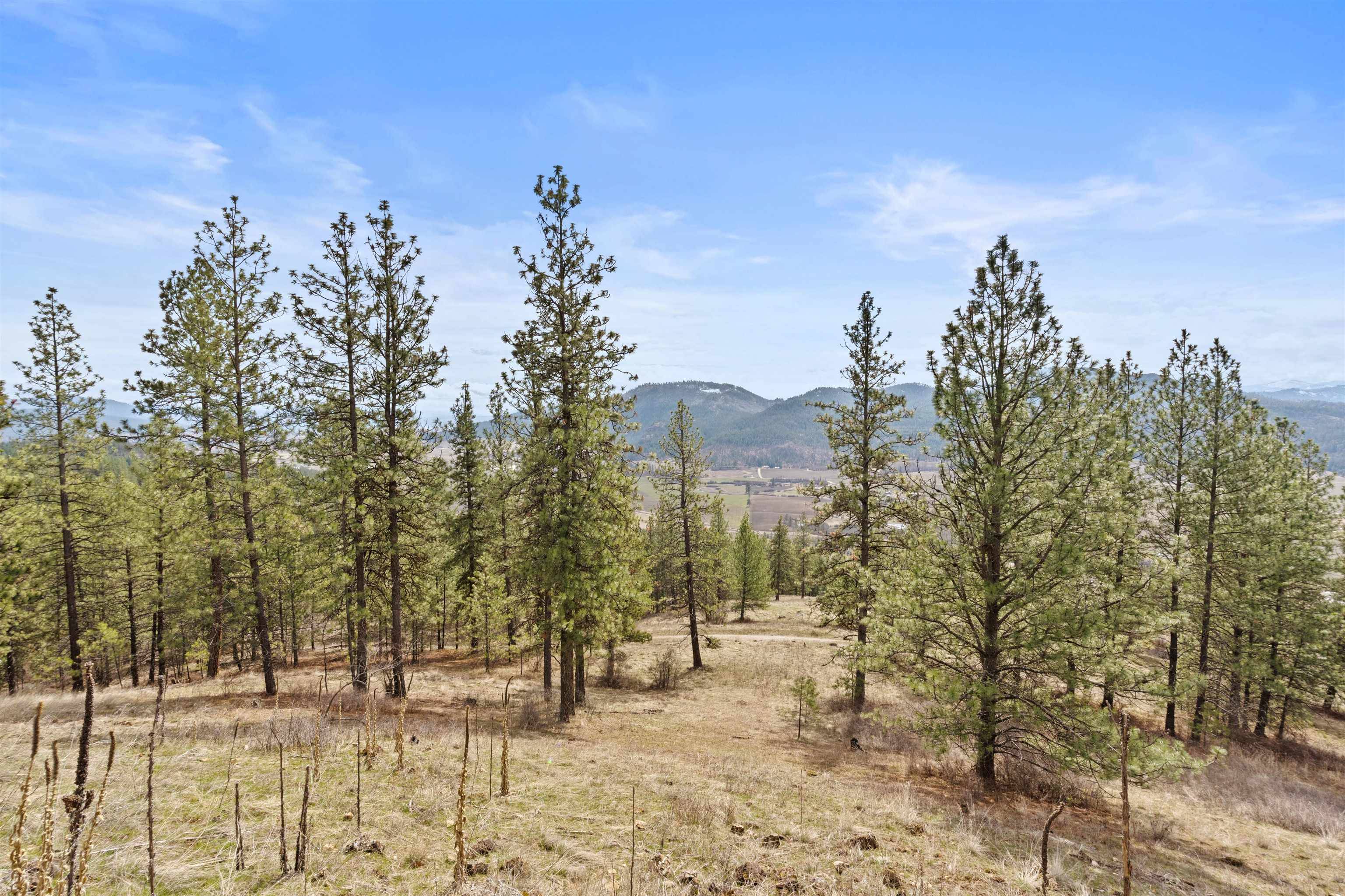 Chewelah, WA 99109,1763 M S Highway 395 Hwy