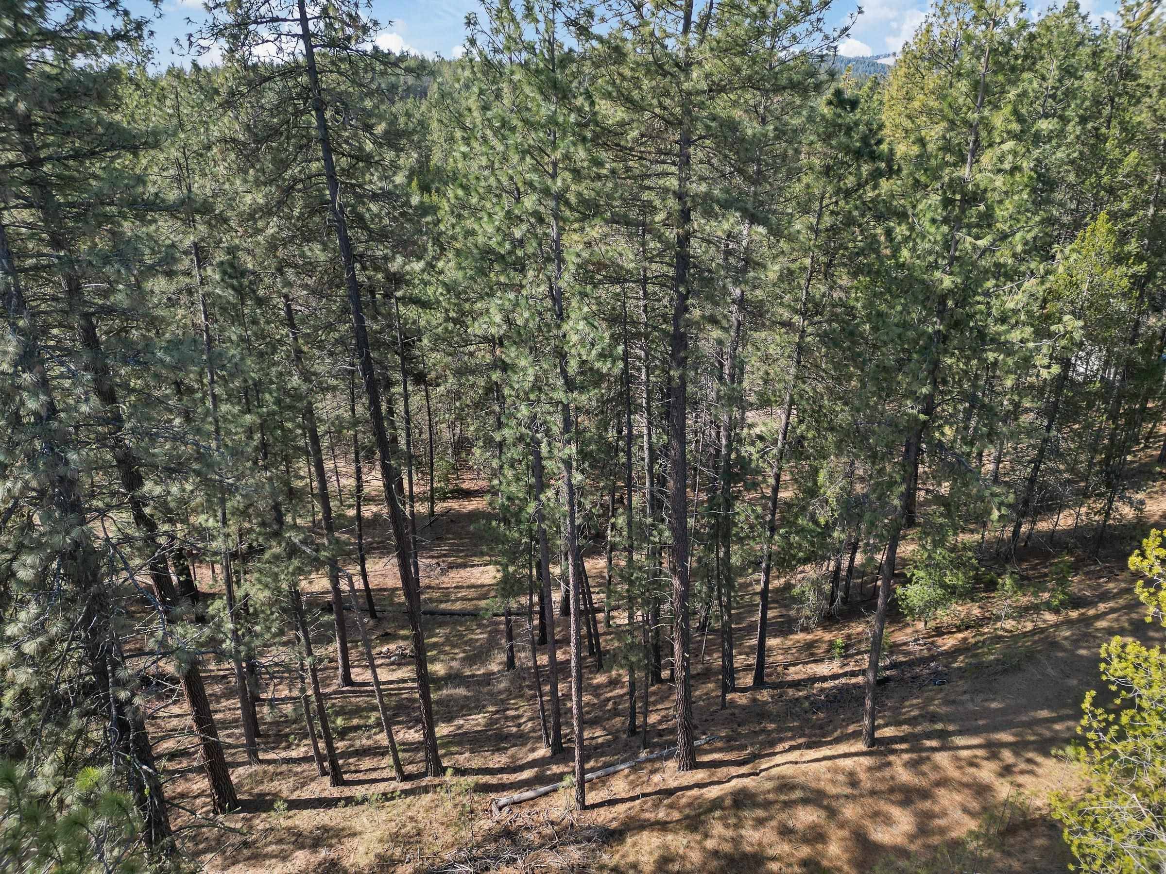 Spokane, WA 99208,17306 N Dartford Rd