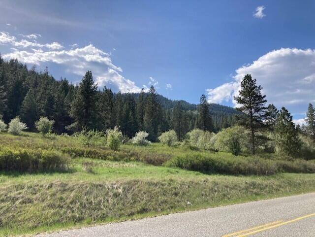Kettle Falls, WA 99141,20XX Northport Flat Creek Rd