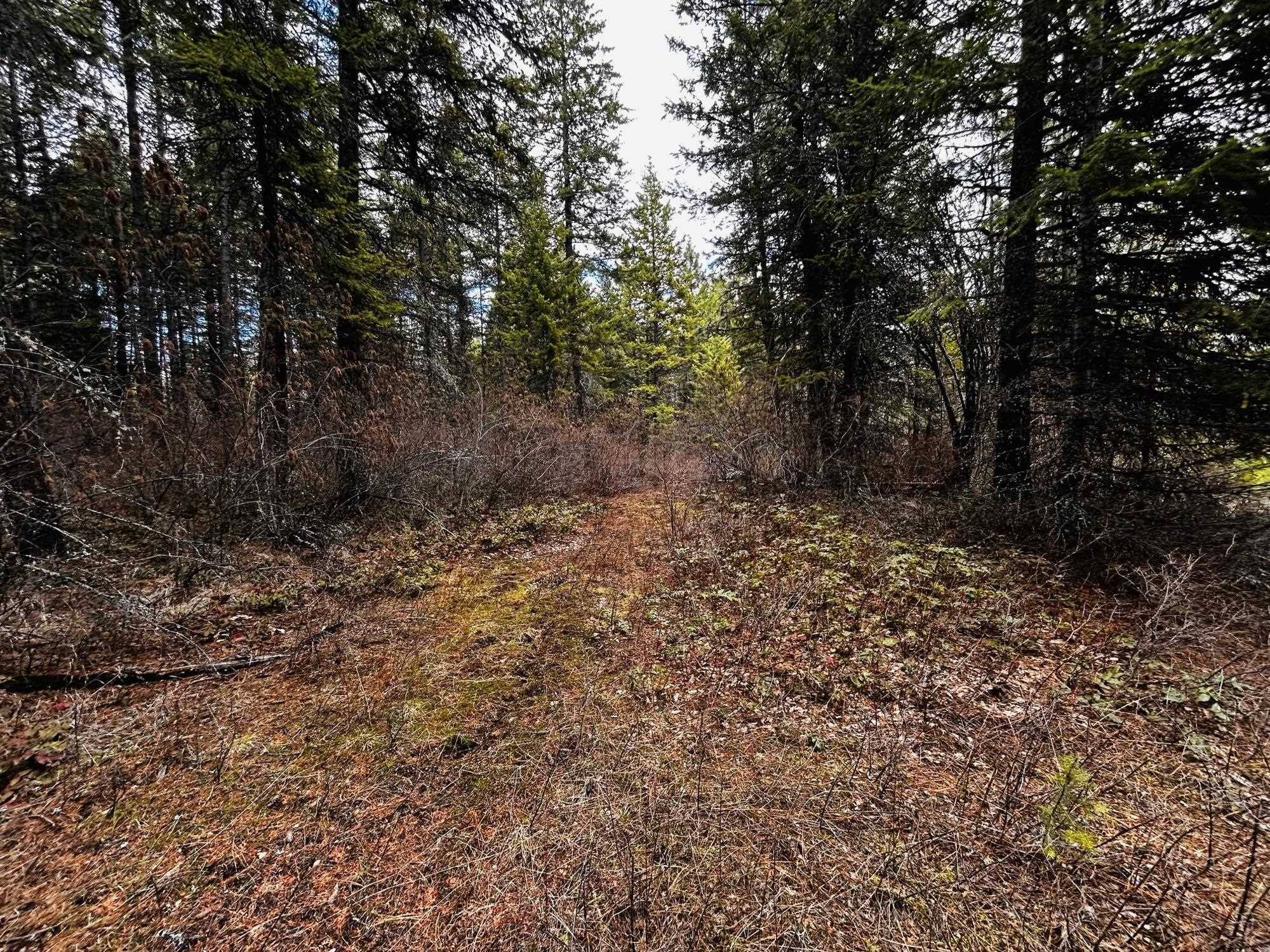 Deer Park, WA 99006,1776 Horseshoe Lake Rd