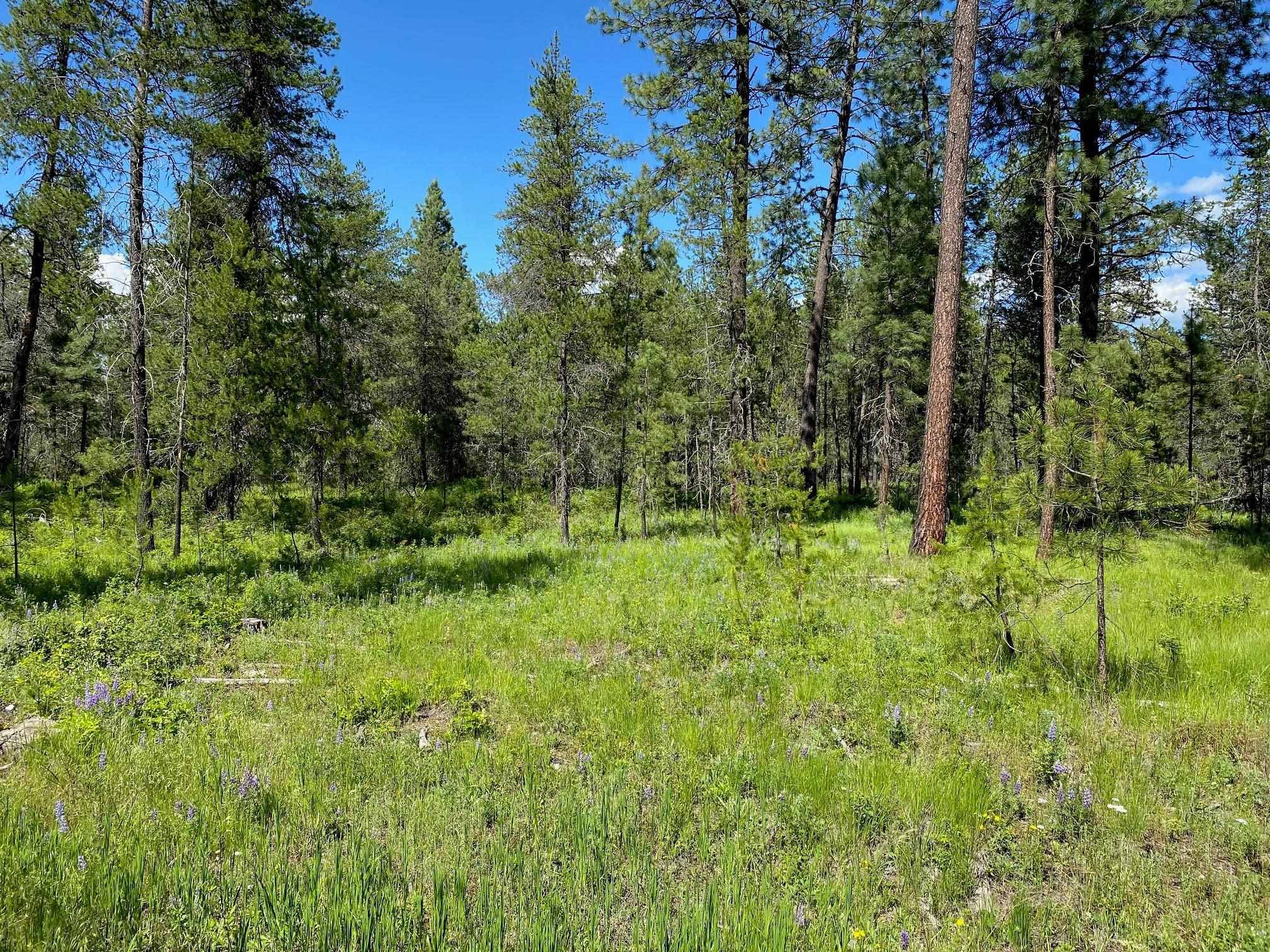 Deer Park, WA 99006,2400 W Montgomery Rd #Lot B