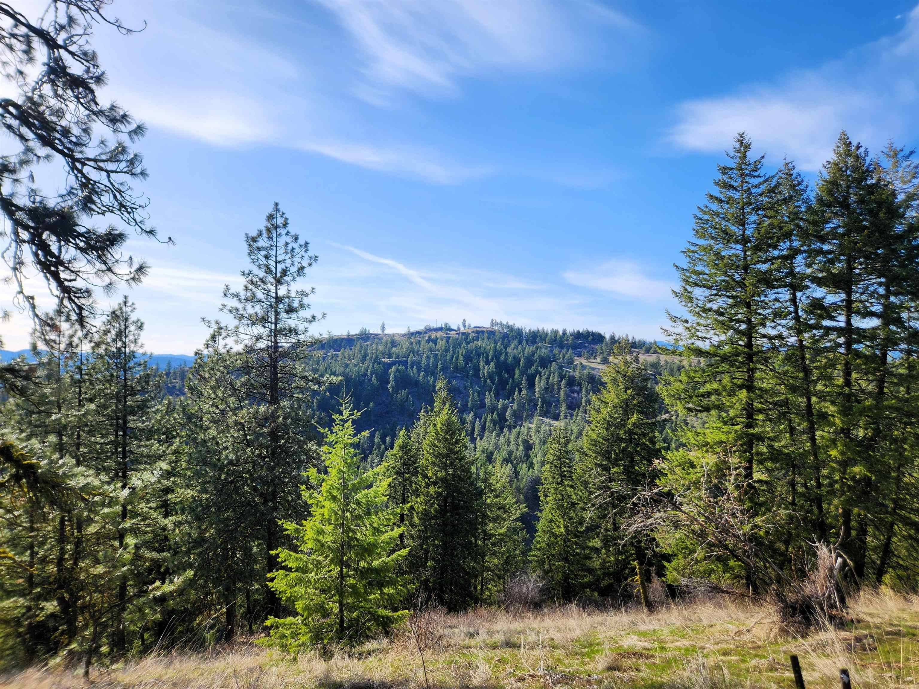 Hunters, WA 99137,4021 Bissell Rd