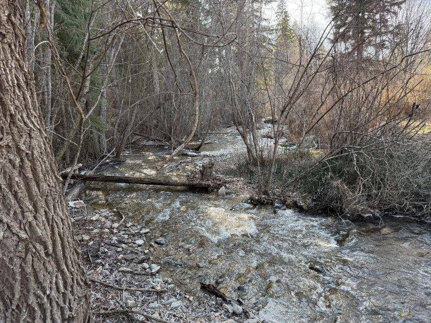 Curlew, WA 99118,334 Boulder Creek Rd