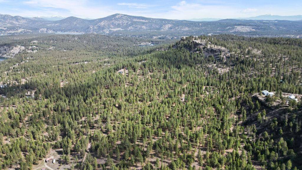 Nine Mile Falls, WA 99026,19821 N Mathias Ln