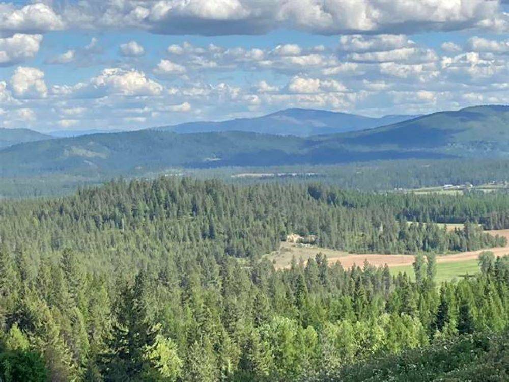 Newport, WA 99156,NKA #1 Deer Valley Rd