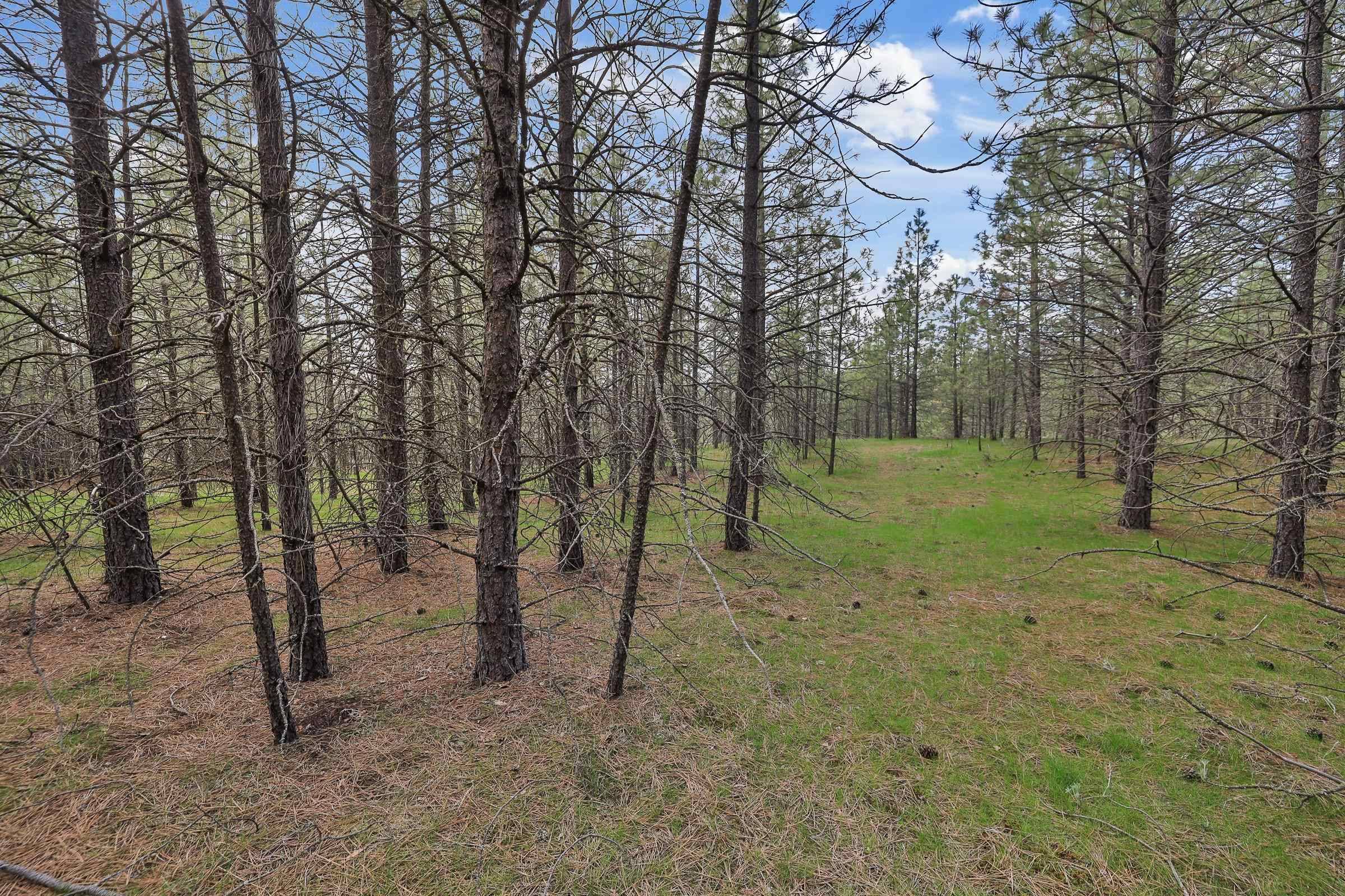 Deer Park, WA 99006,NKA Lower Weaver WAY #Lot 4 of Lot 11