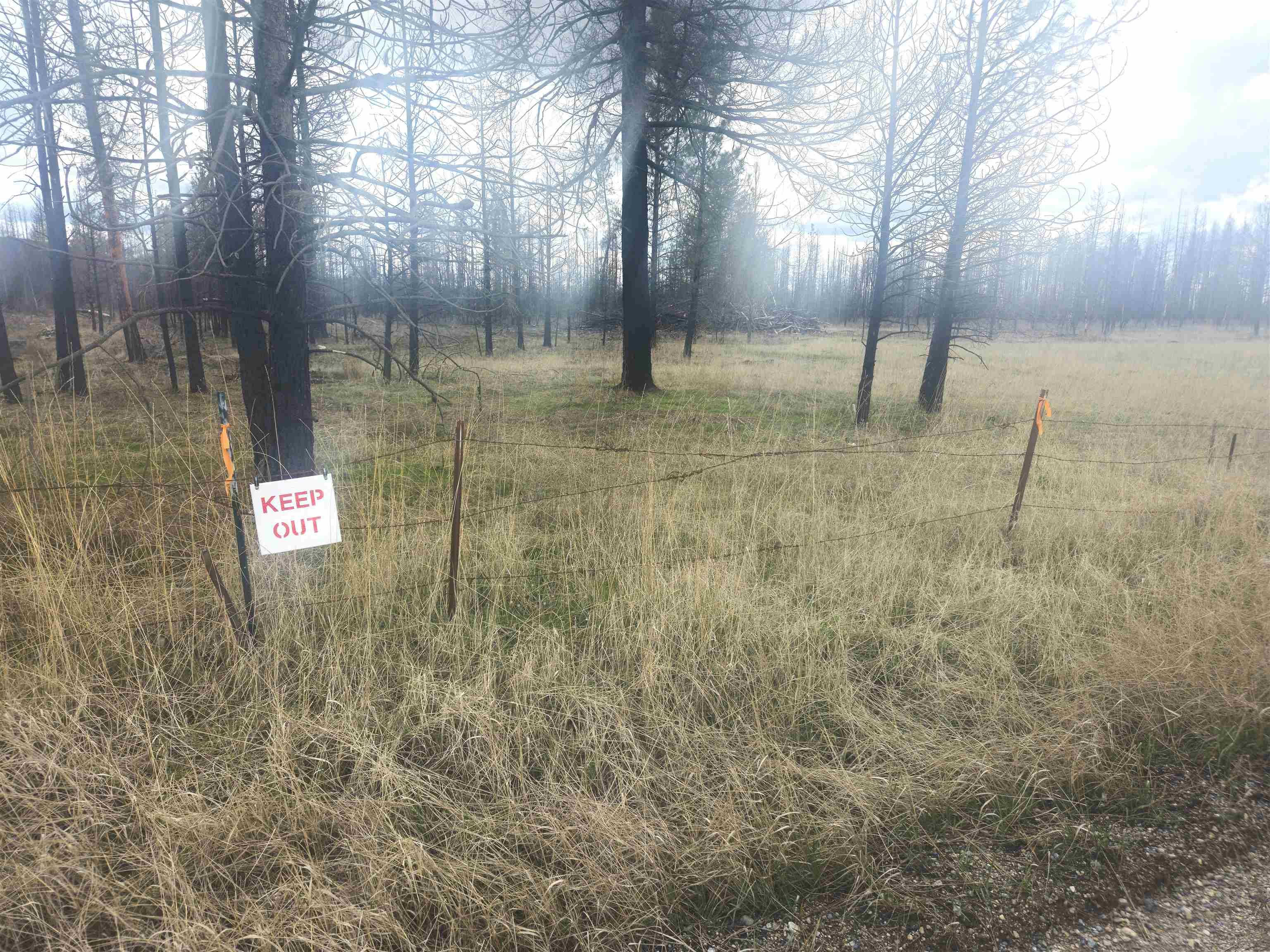 Elk, WA 99009,000 Frideger      49013.9036 Rd