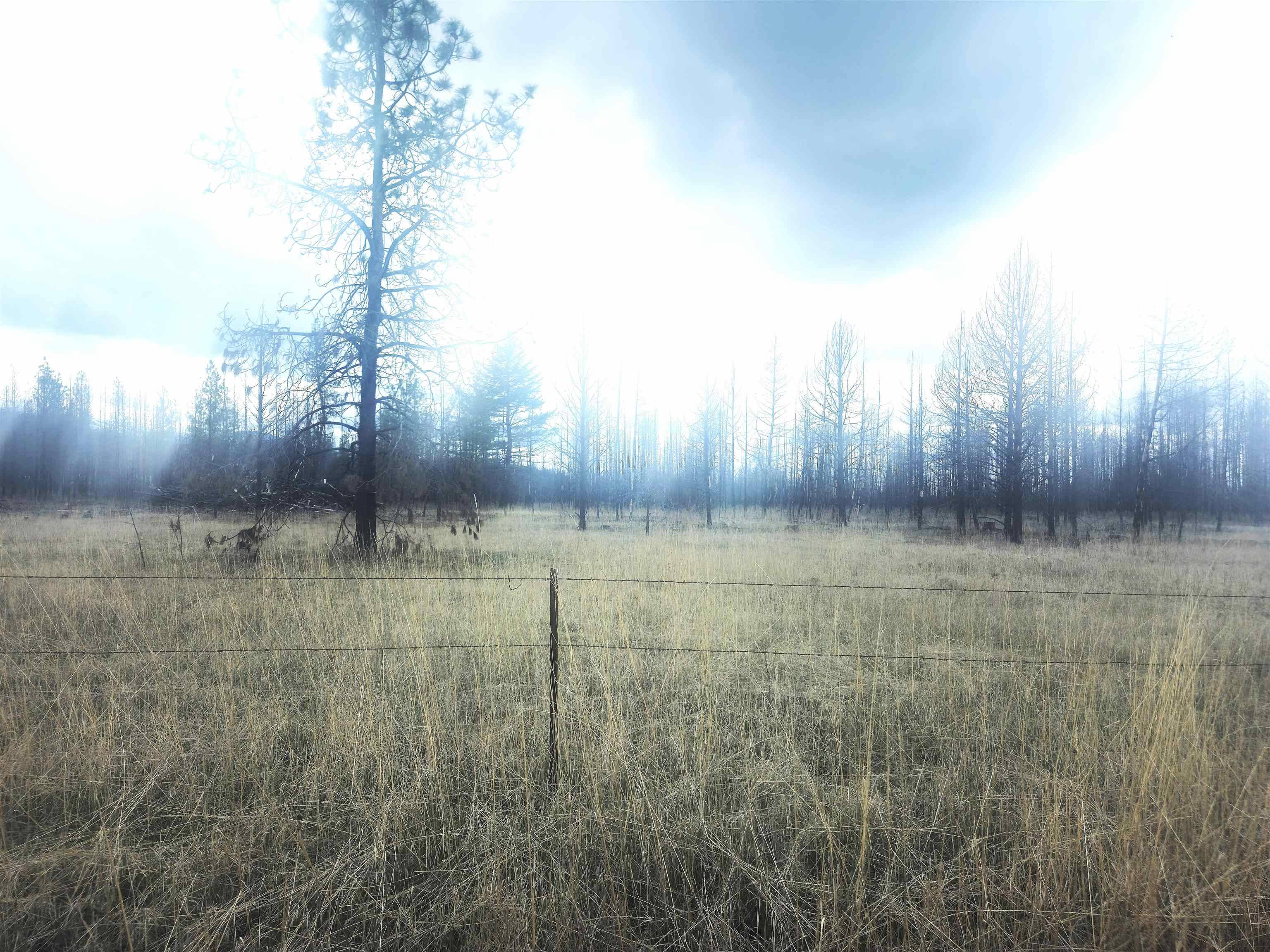 Elk, WA 99009,000 Frideger      49013.9036 Rd