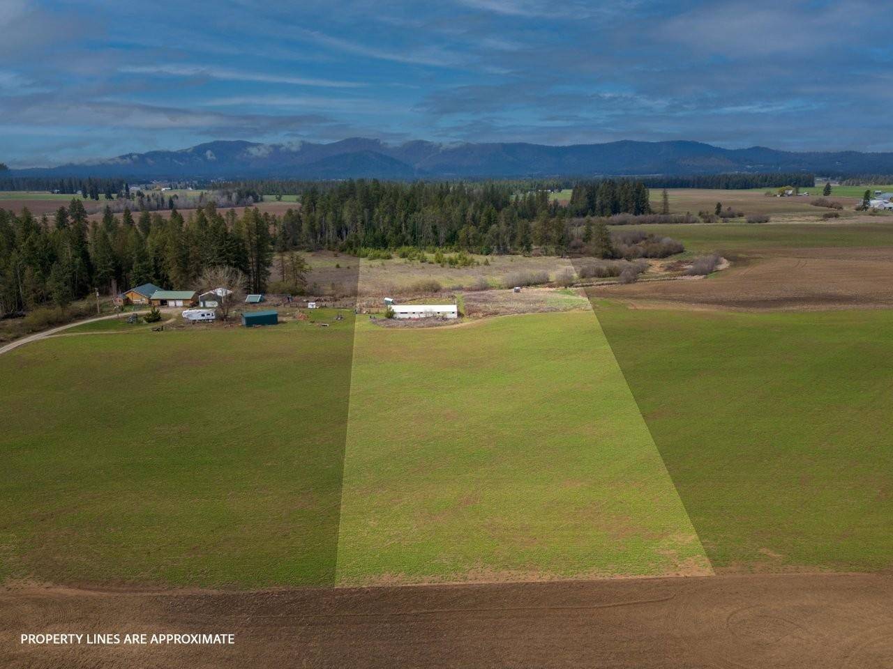 Deer Park, WA 99006,343XX N Spotted Rd