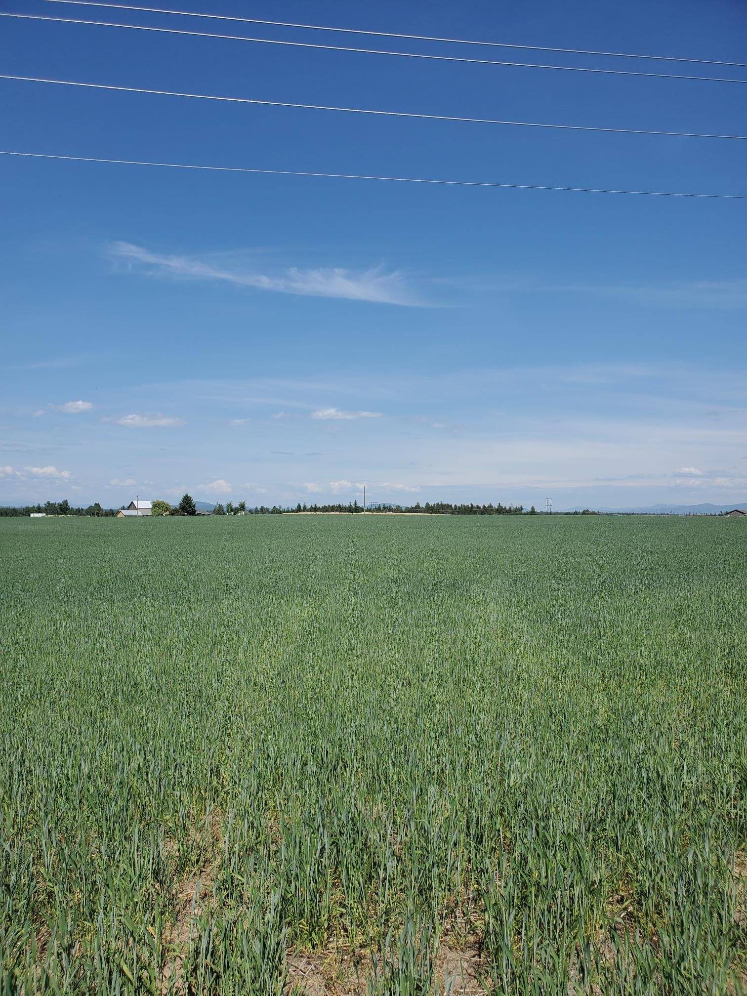 Deer Park, WA 99006,34XXX N Highway 395 Hwy