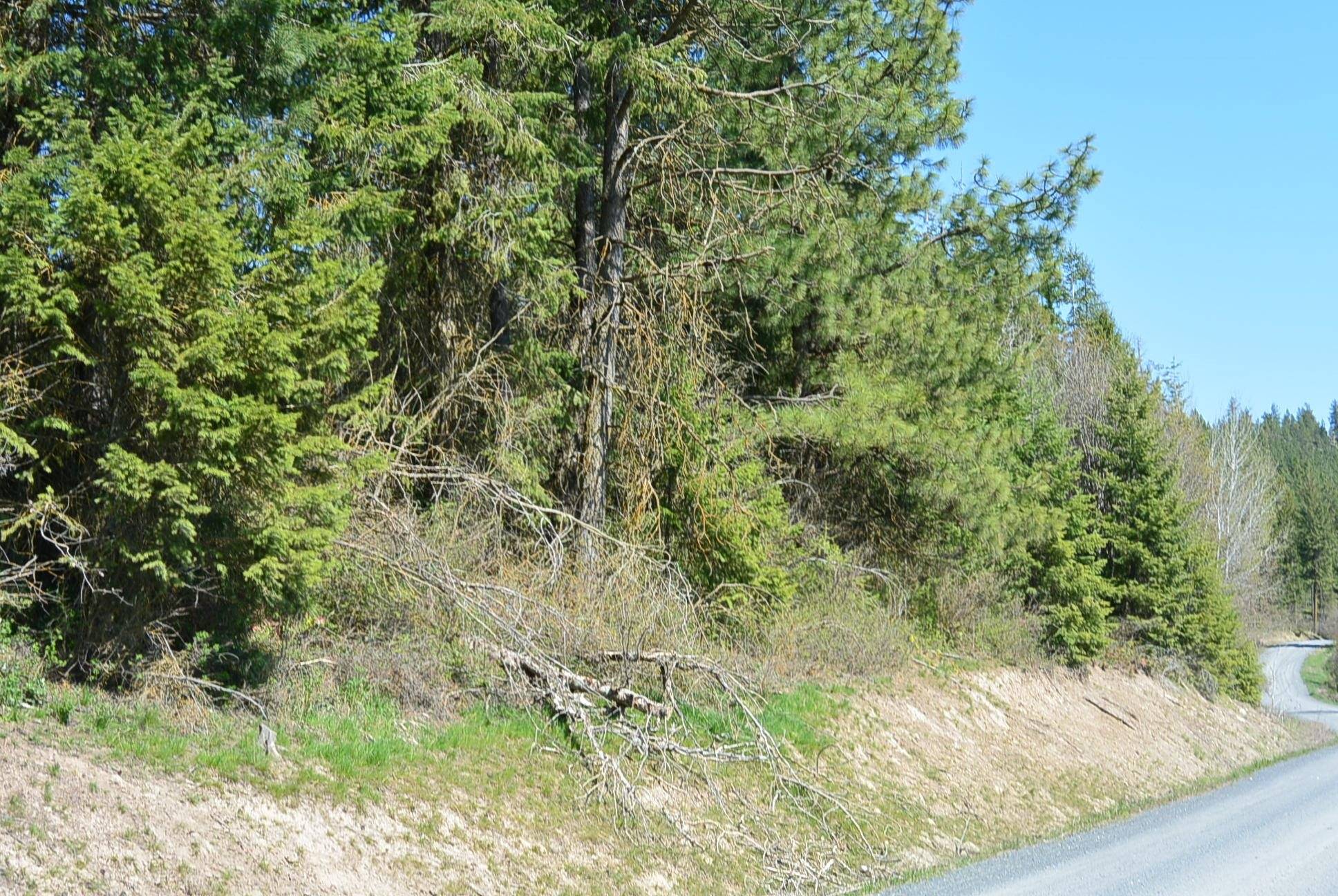 Valley, WA 99181,TBD Long Prairie Rd