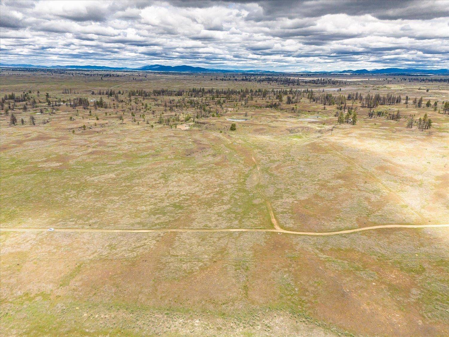 Davenport, WA 99122,26405 Lone Pine E Rd