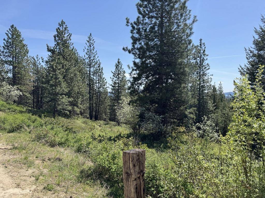 Newport, WA 99156,1372 Valley View Dr