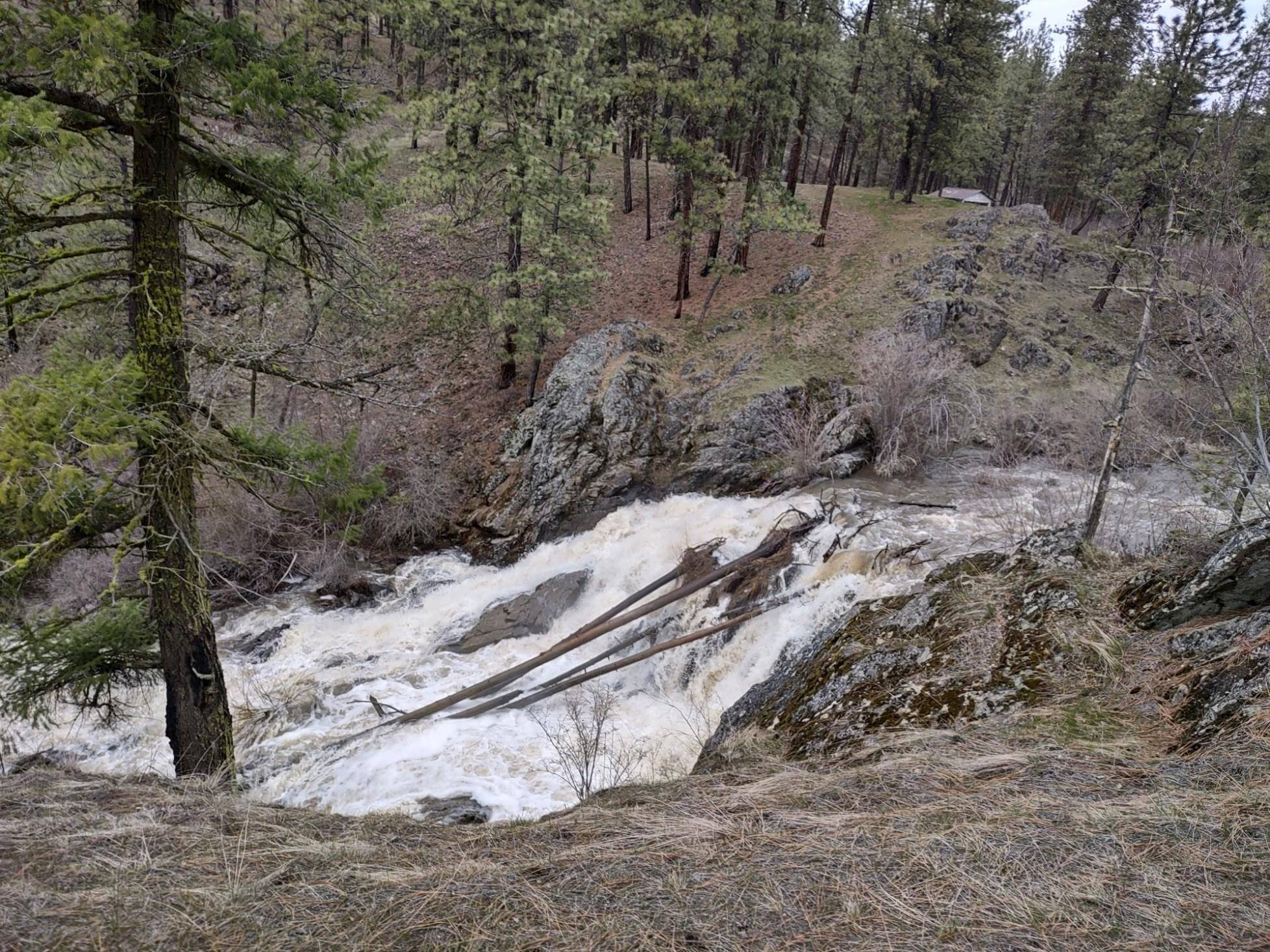 Ford, WA 99013,xx Chamokane Falls Rd