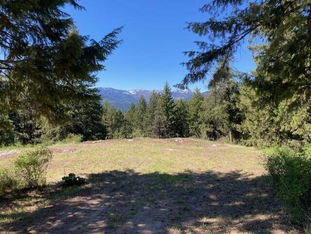 Kettle Falls, WA 99141,161 Jacknife Lookout Rd