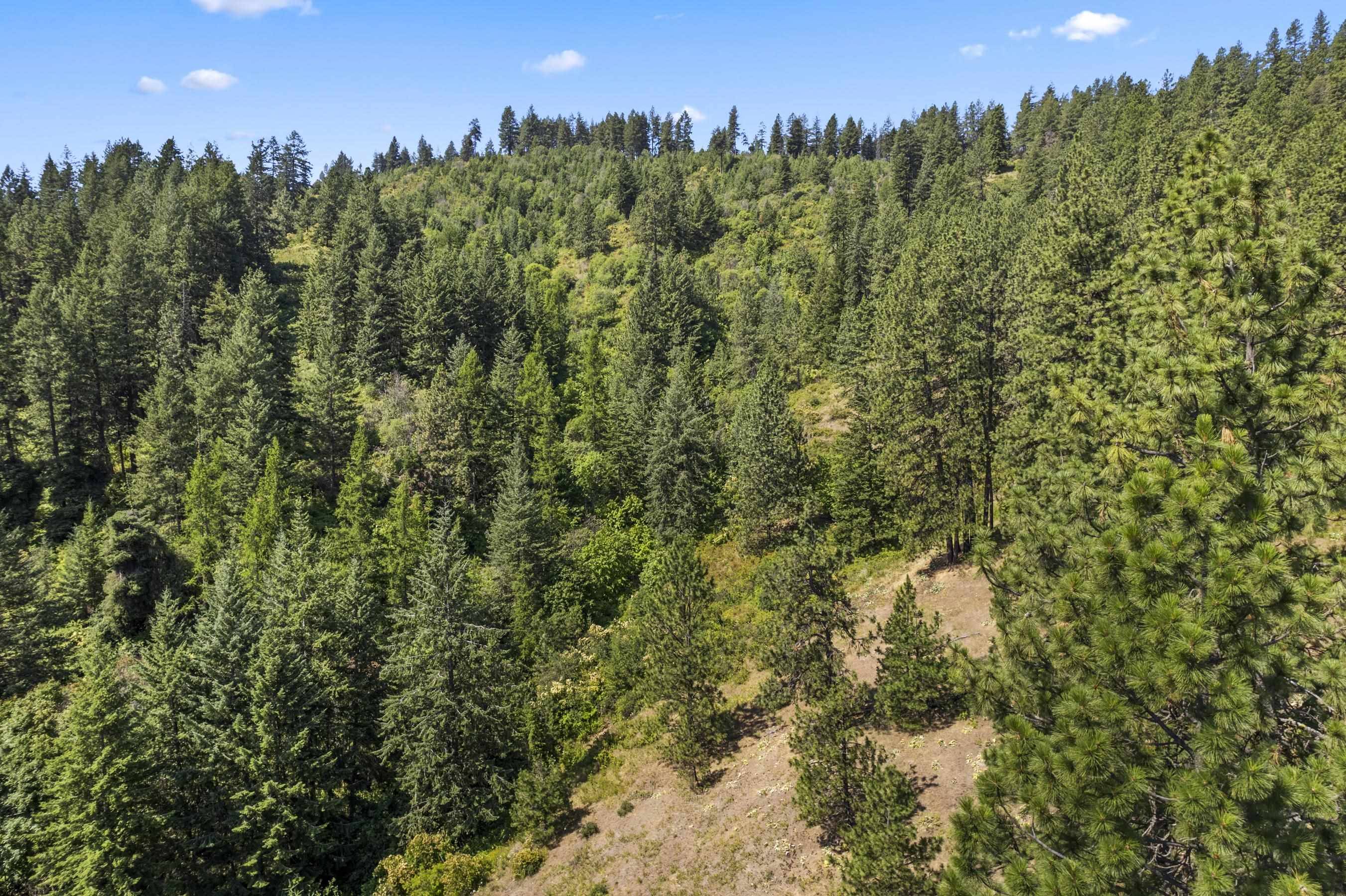 Spokane Valley, WA 99206,10610 E Hallett Rd