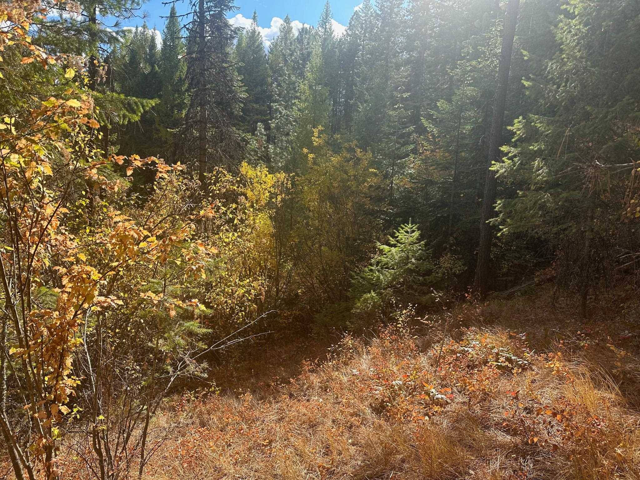 Loon Lake, WA 99148,4450 Buck Creek Rd