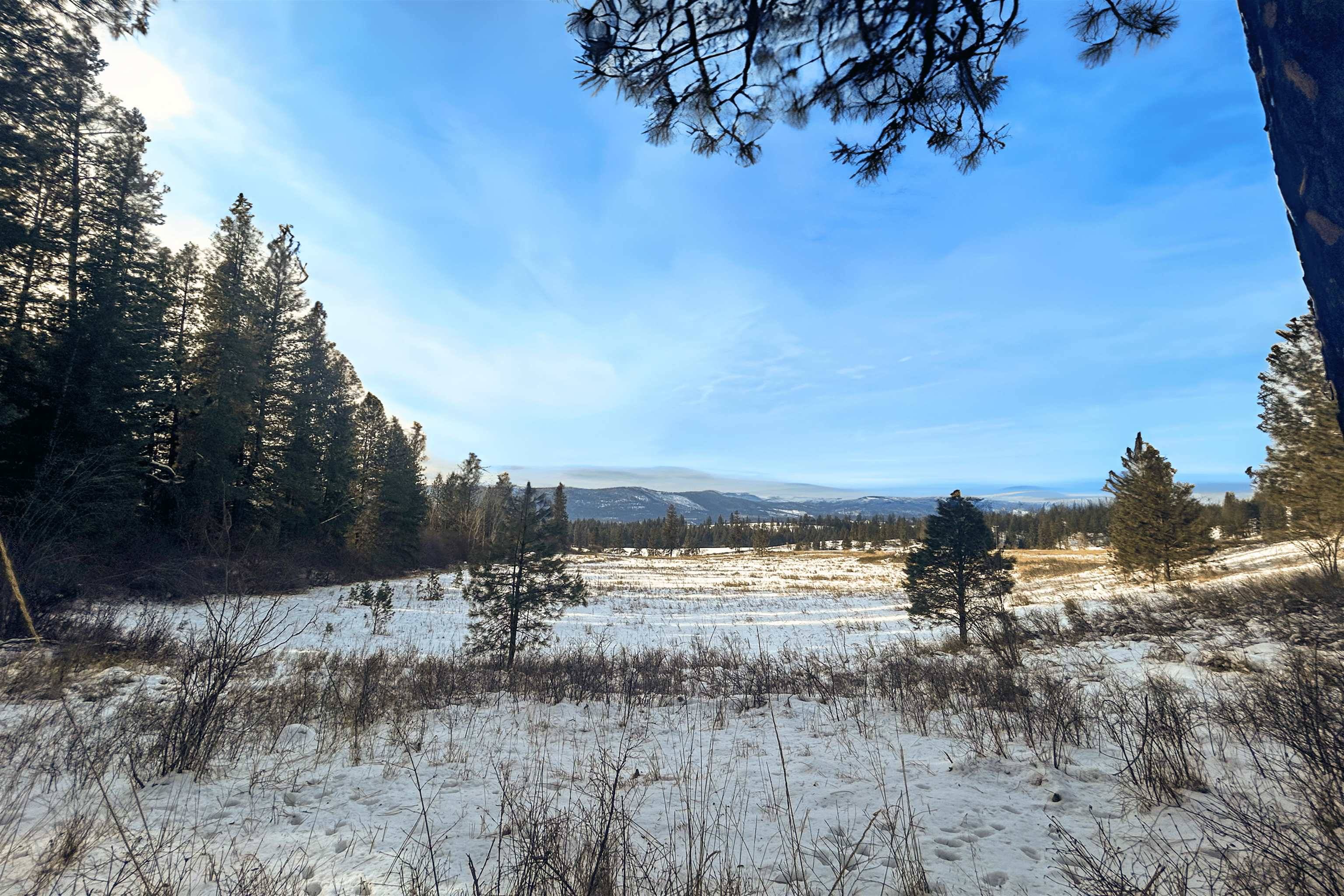 Rice, WA 99167,3341 Daisy Mine Rd