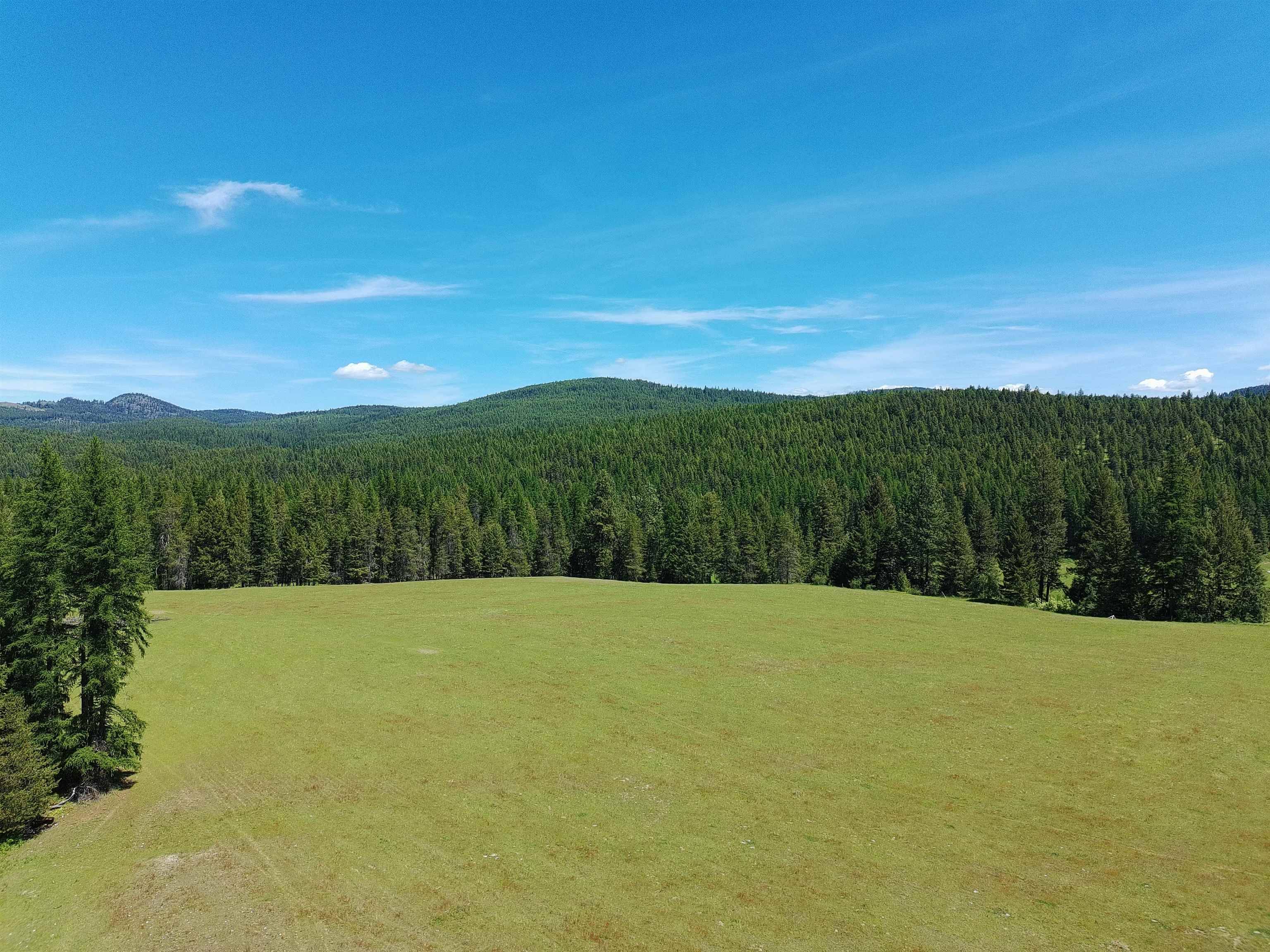 Colville, WA 99114,22XX Hawks Rd #21XX Clugston Onion Creek Road
