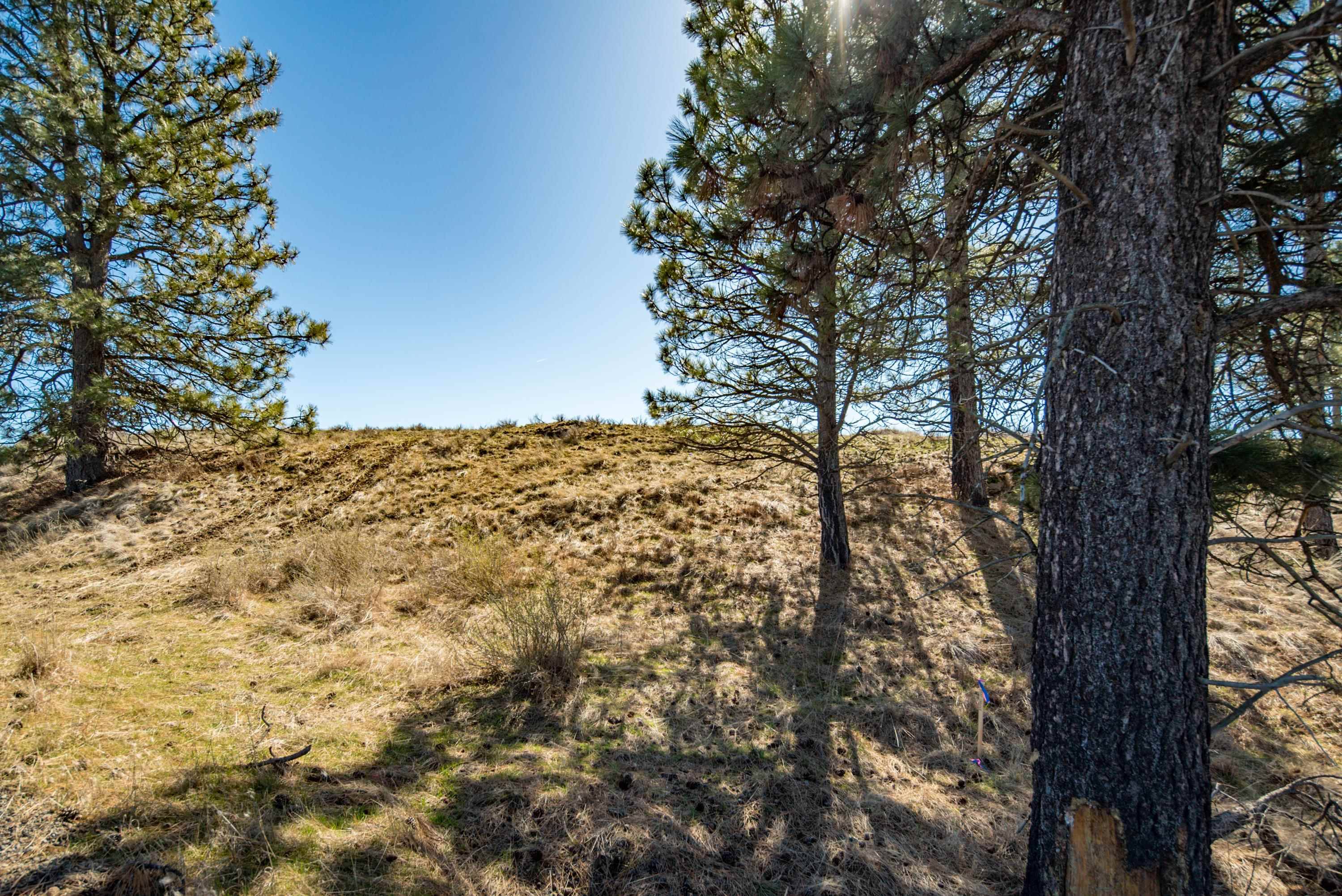 Cheney, WA 99032,Lot 9 02315.9029 Unassigned Address