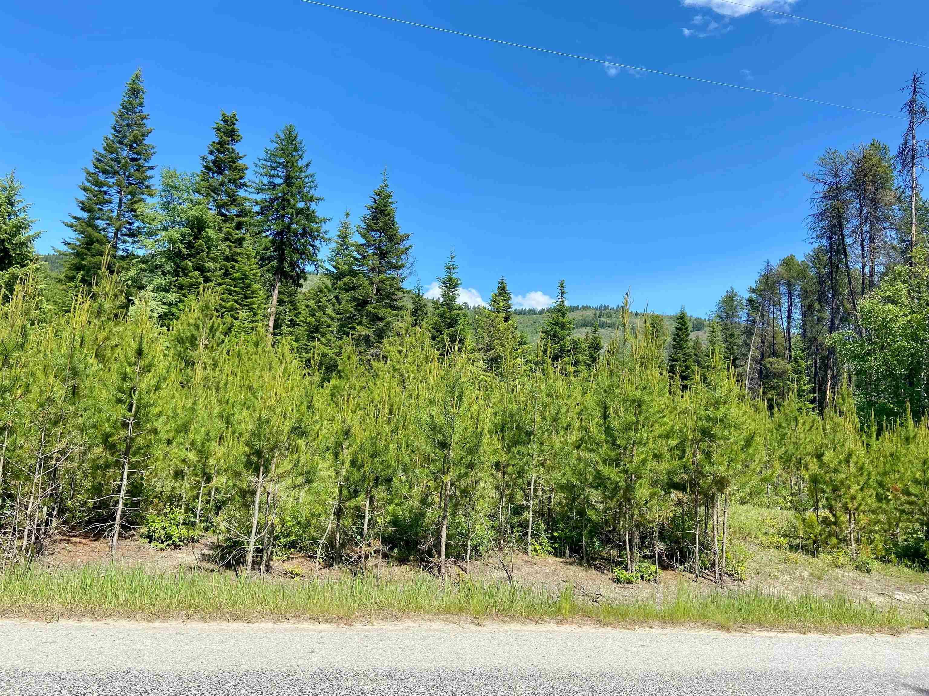 Cusick, WA 99119,TBD W Joyner Dr