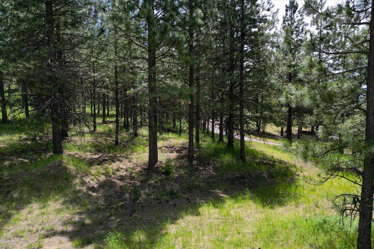 Spokane, WA 99223,XXXXXX Custer Ln