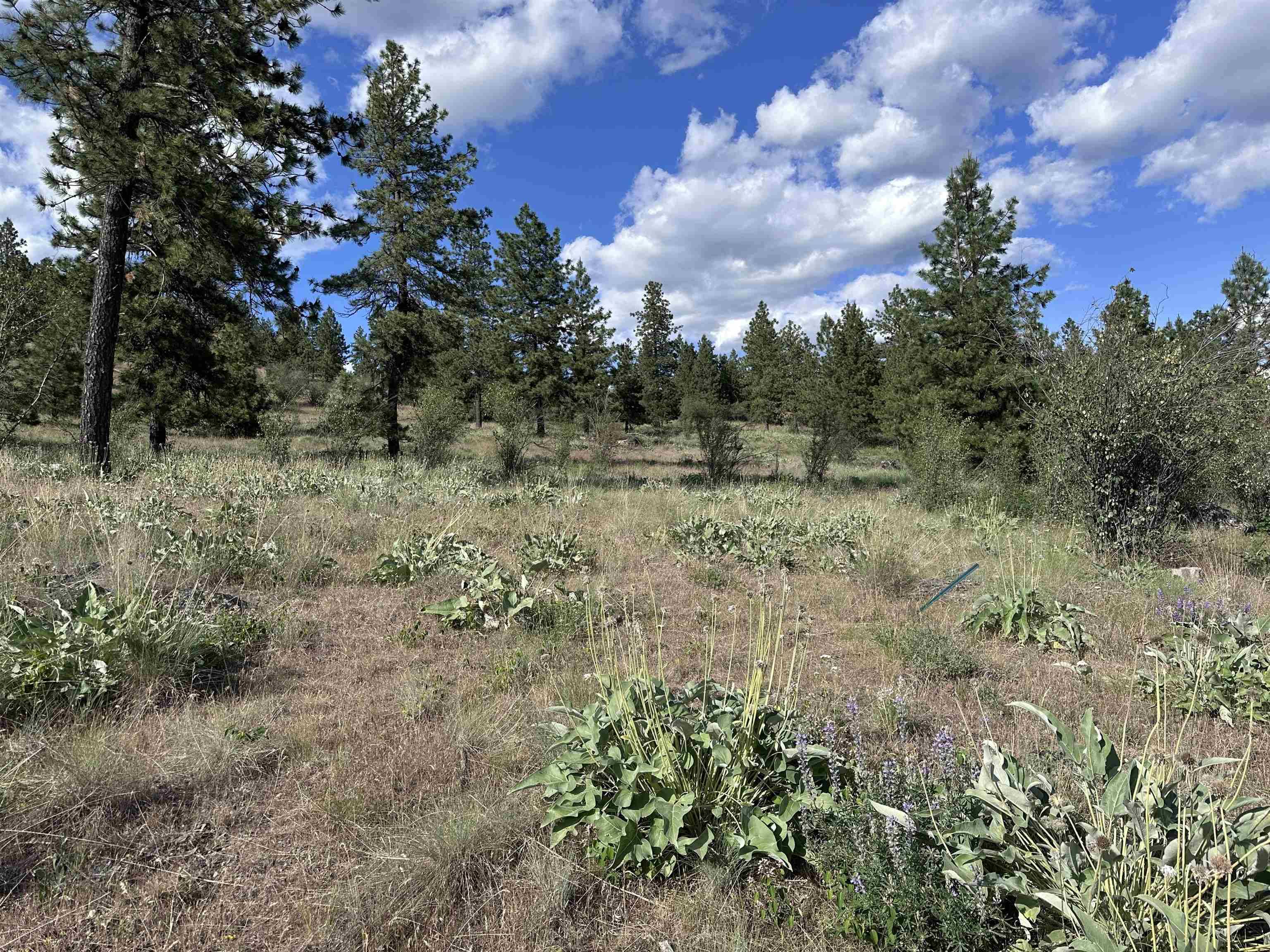 Deer Park, WA 99006,6581 Saddle Mountain WAY