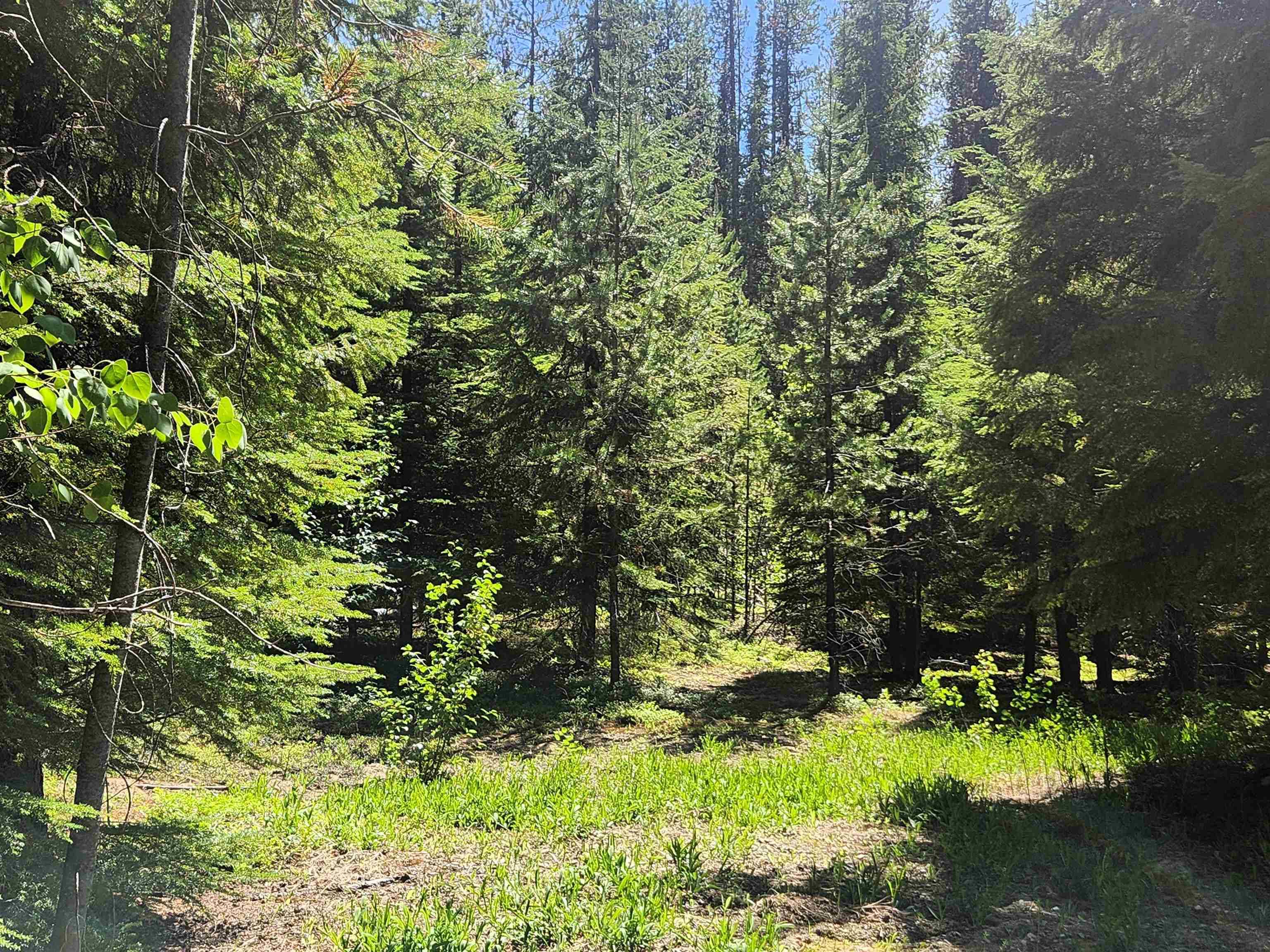 Cusick, WA 99119,7450 Ruby Creek Rd