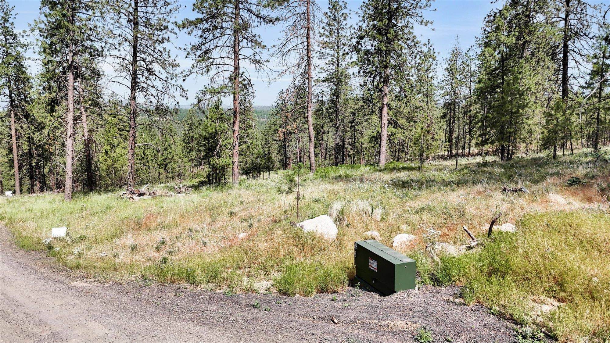 Deer Park, WA 99006,NKA Lower Weaver Lot A WAY