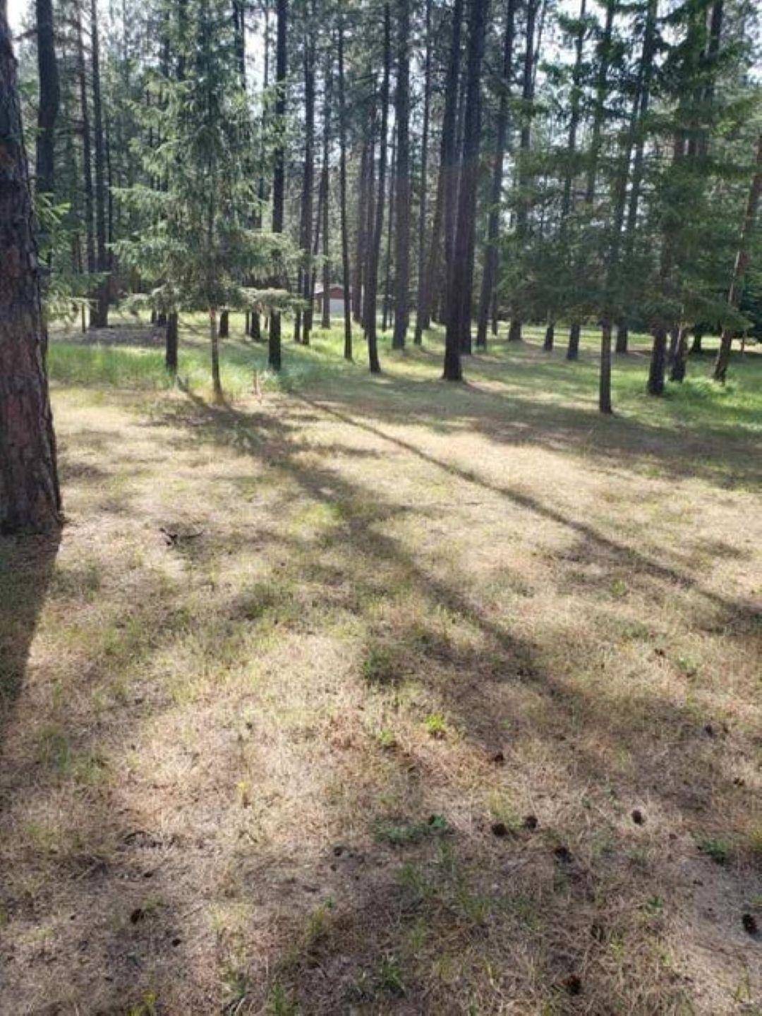 Chewelah, WA 99109,251 Eagle Dr
