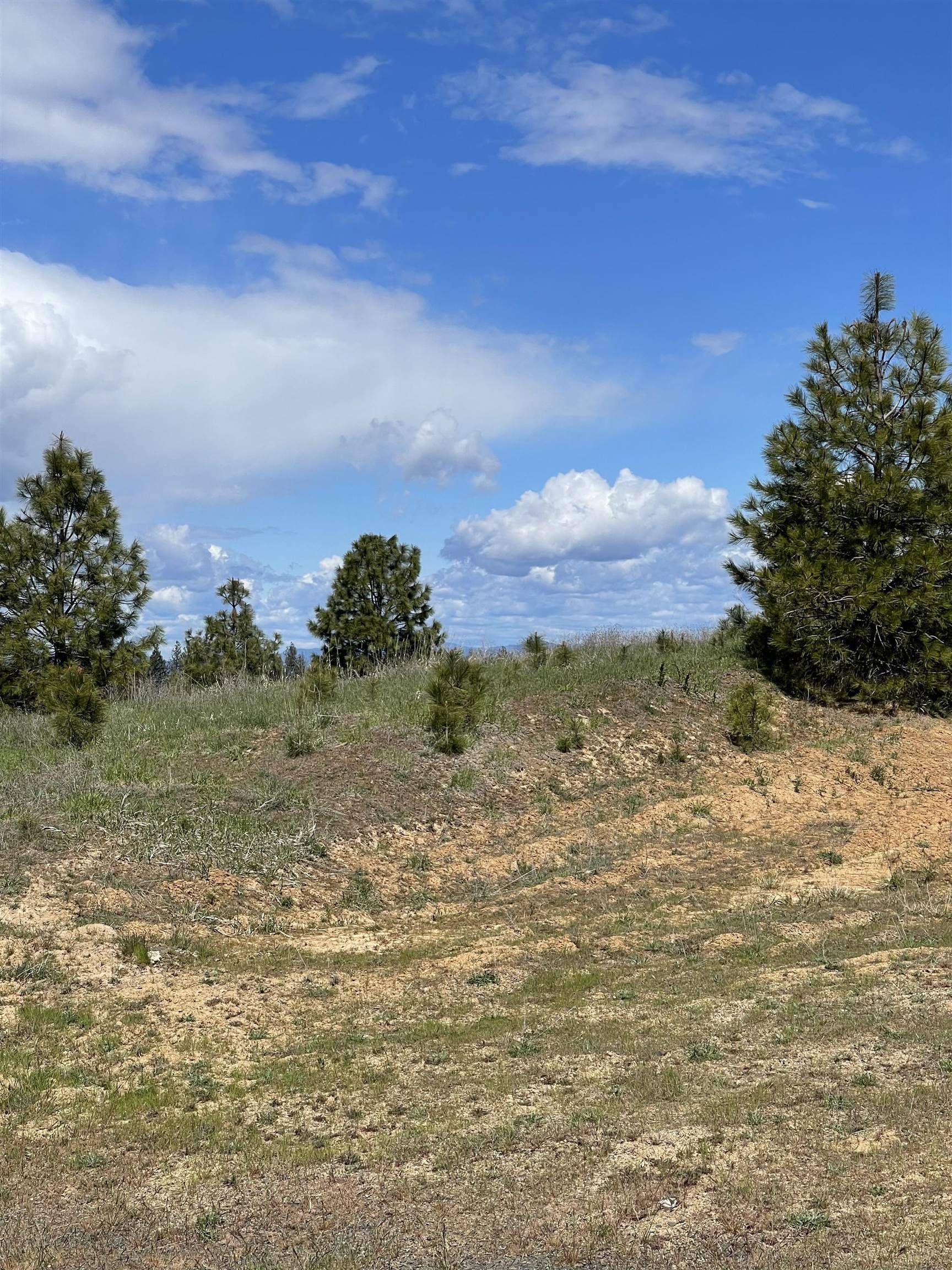 Spokane, WA 99208,5024 W Hayden Ln