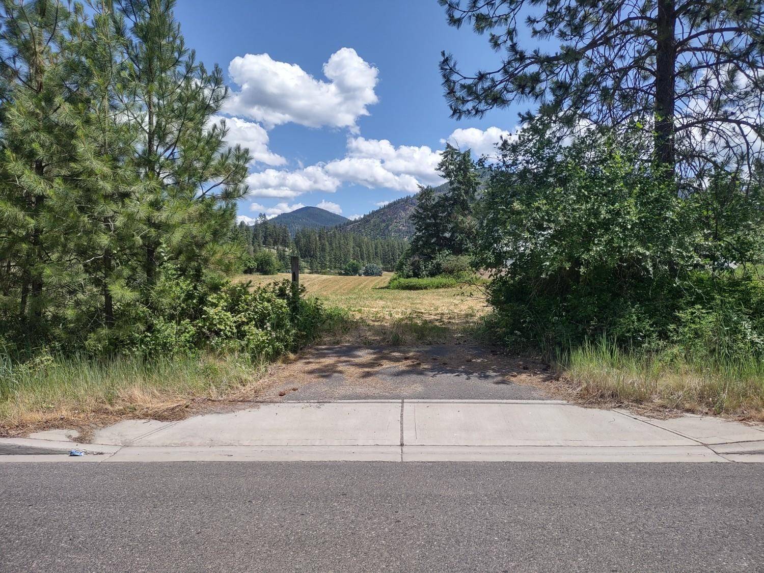 Chewelah, WA 99109,xx Ehorn Ln