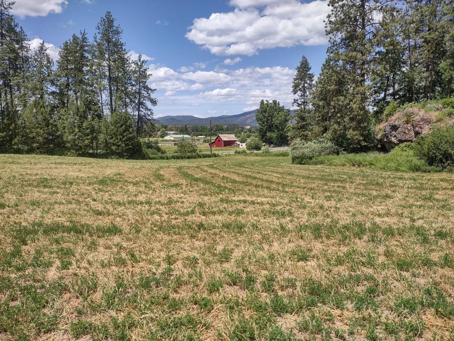 Chewelah, WA 99109,xx Ehorn Ln