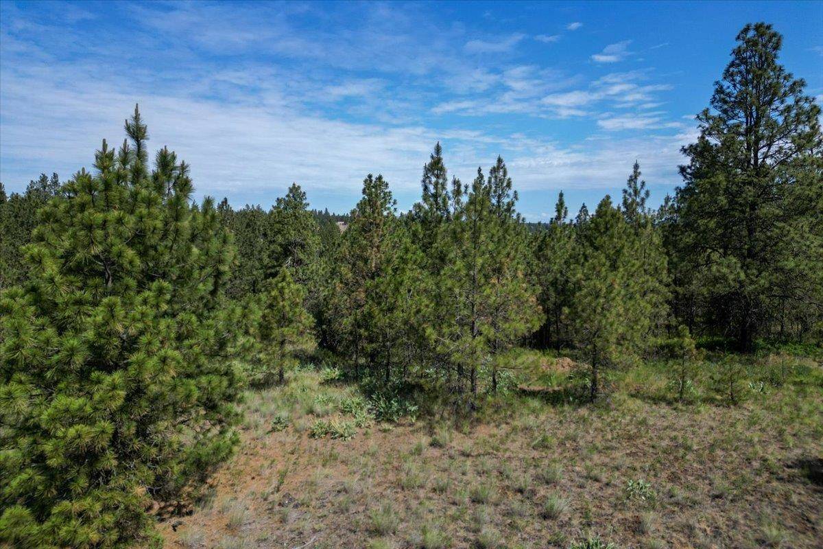 Spokane, WA 99224,1305 E Wildflower Ln
