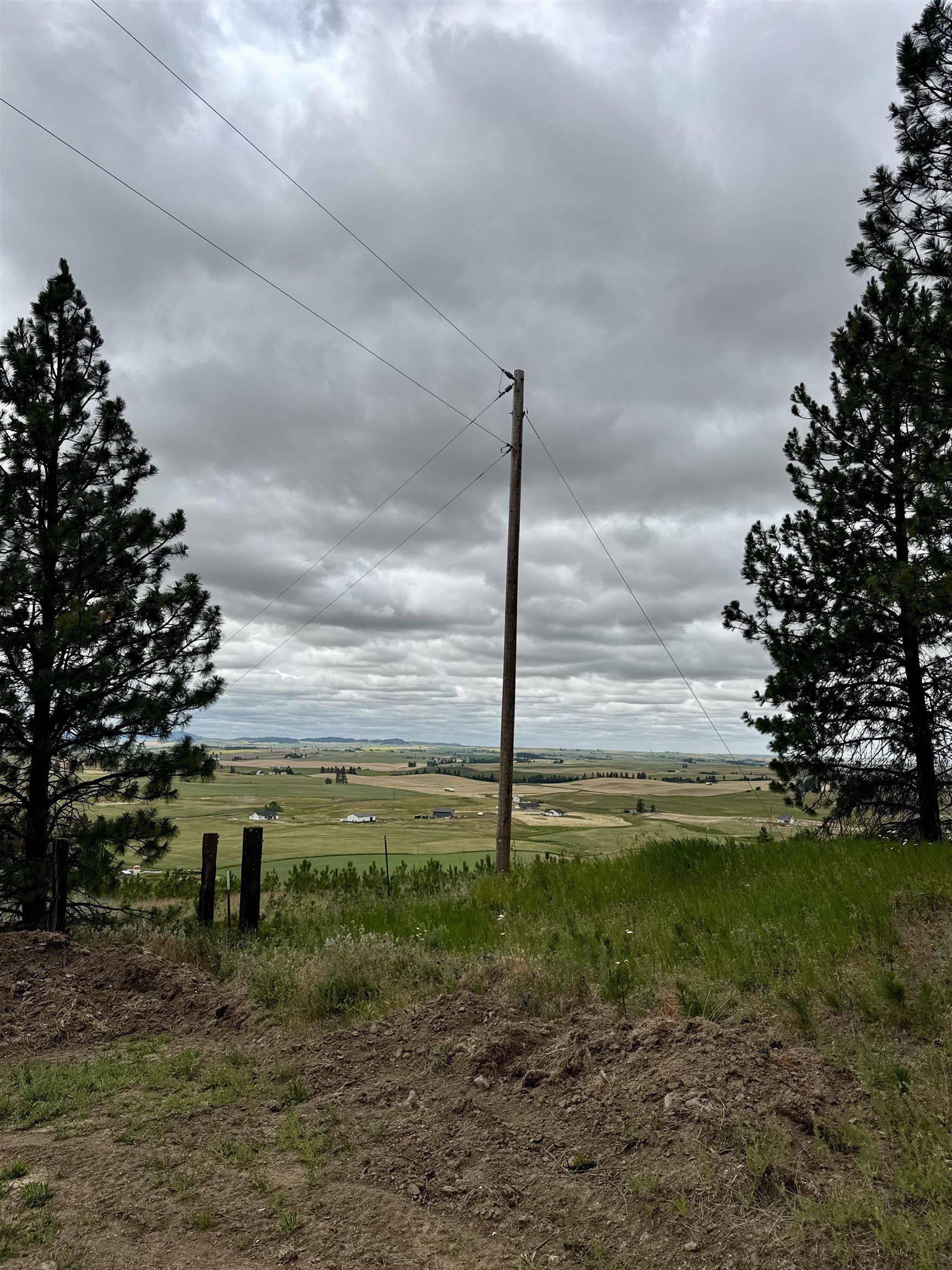 Rockford, WA 99030,XXXX E Elder Rd