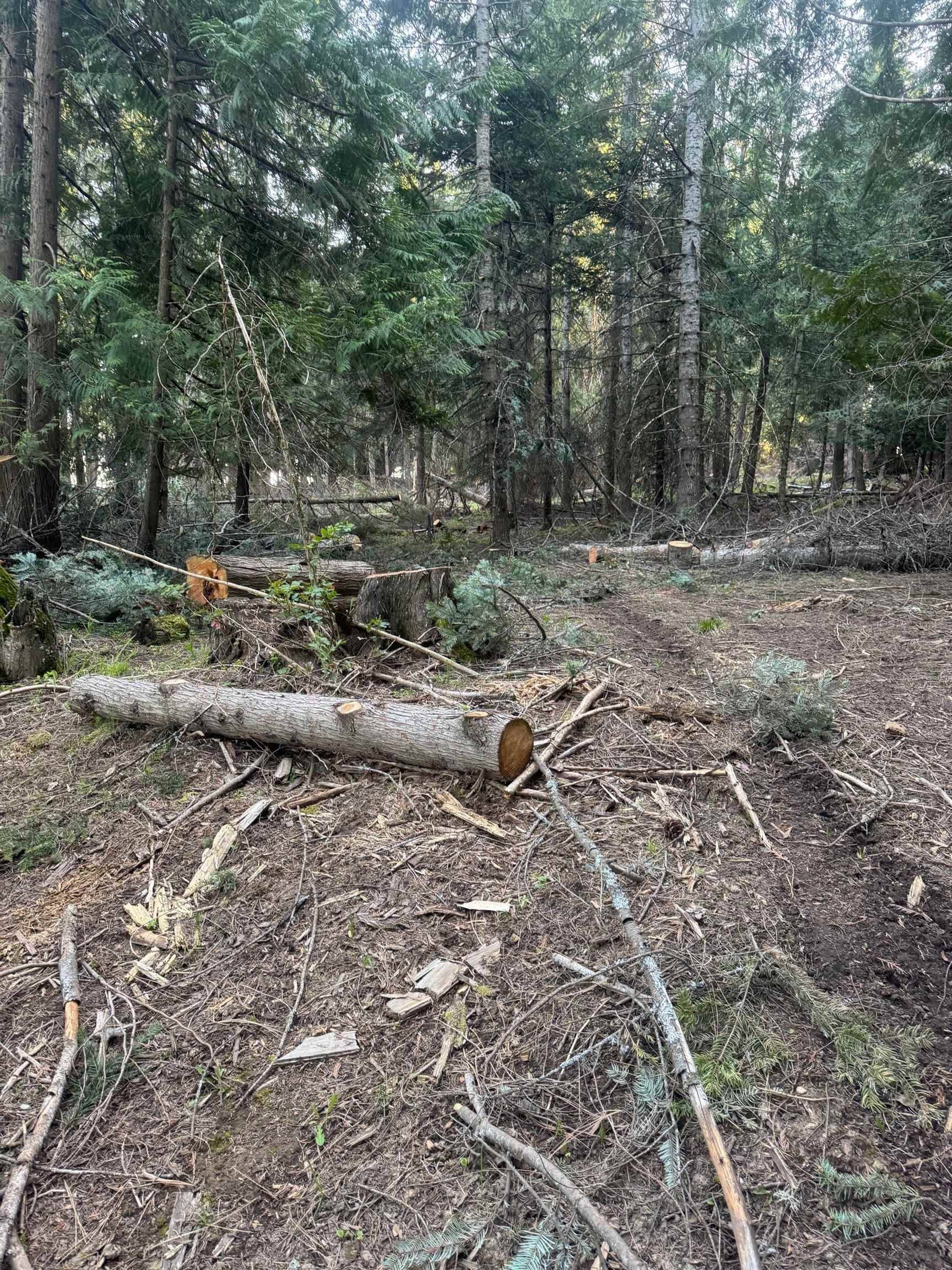 Elk, WA 99009,NKA Allen Rd (10164) Rd